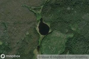 Swamp Grass Lake