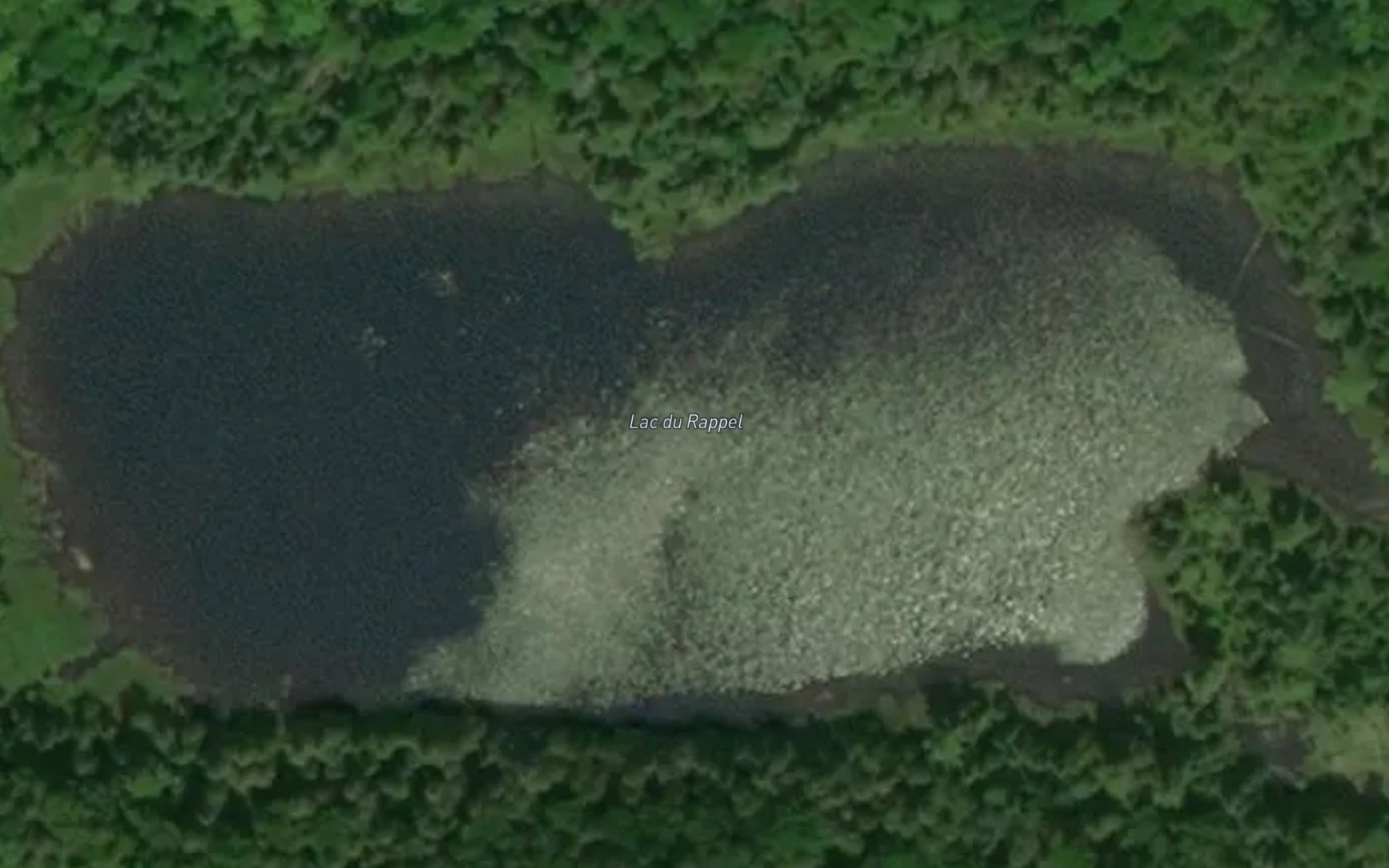 Satellite map of the Lac du Rappel