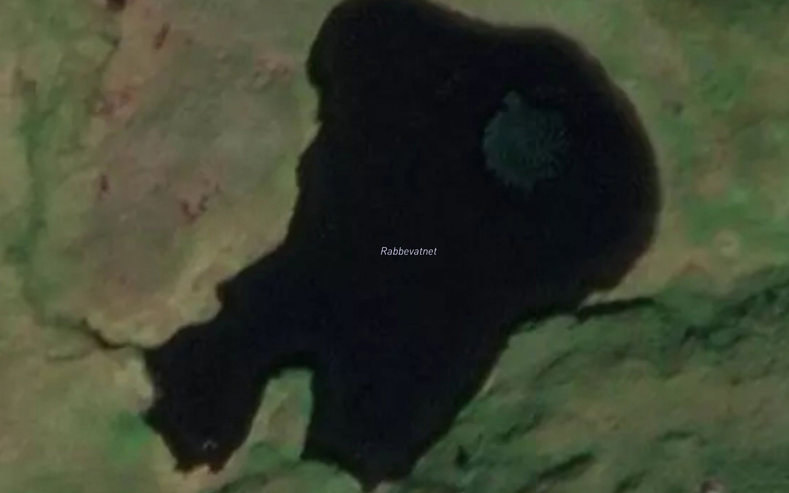 Rabbevatnet