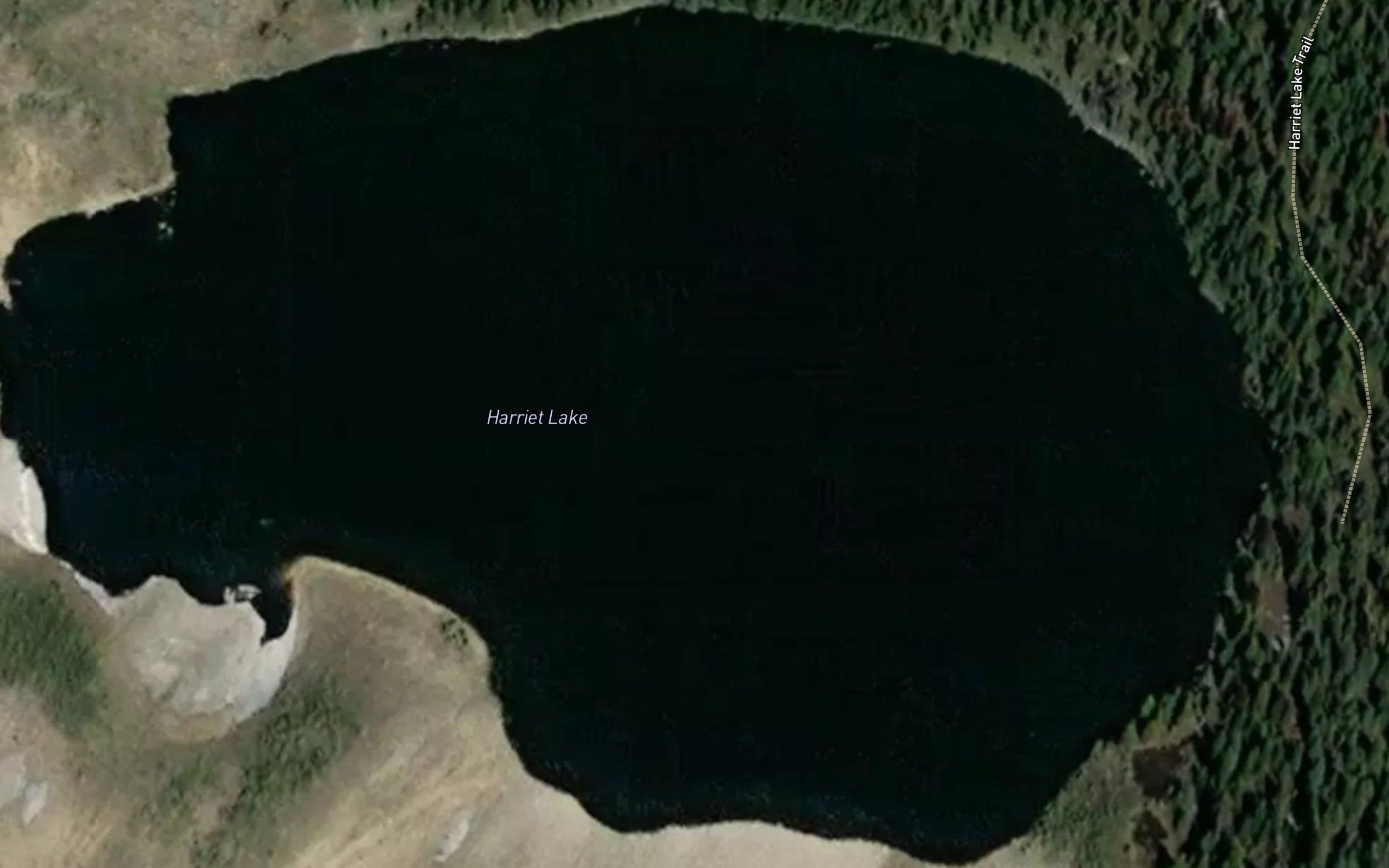 Harriet Lake