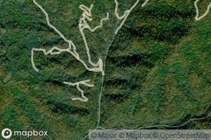 Left Fork Cranks Creek
