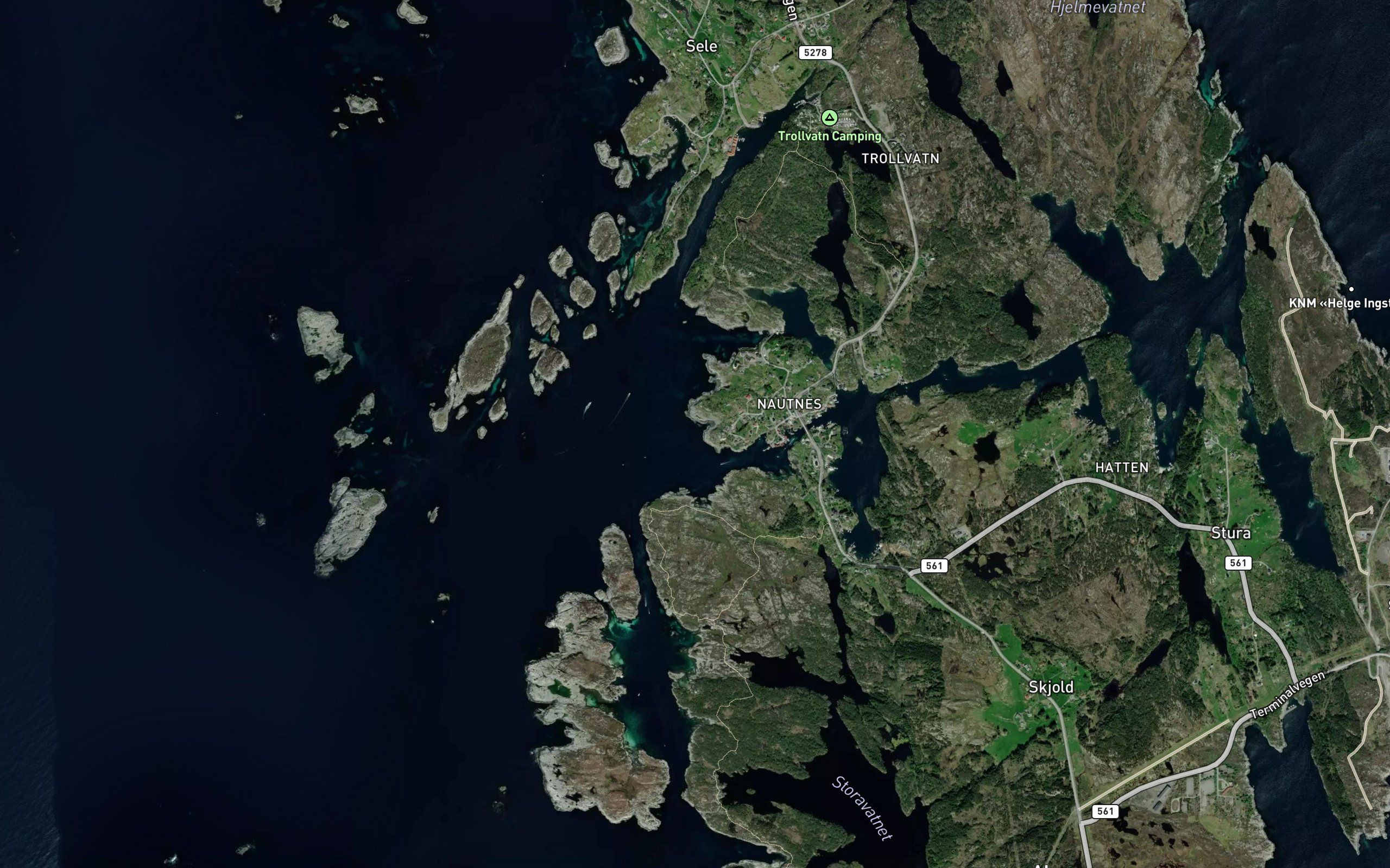 Tanglevika