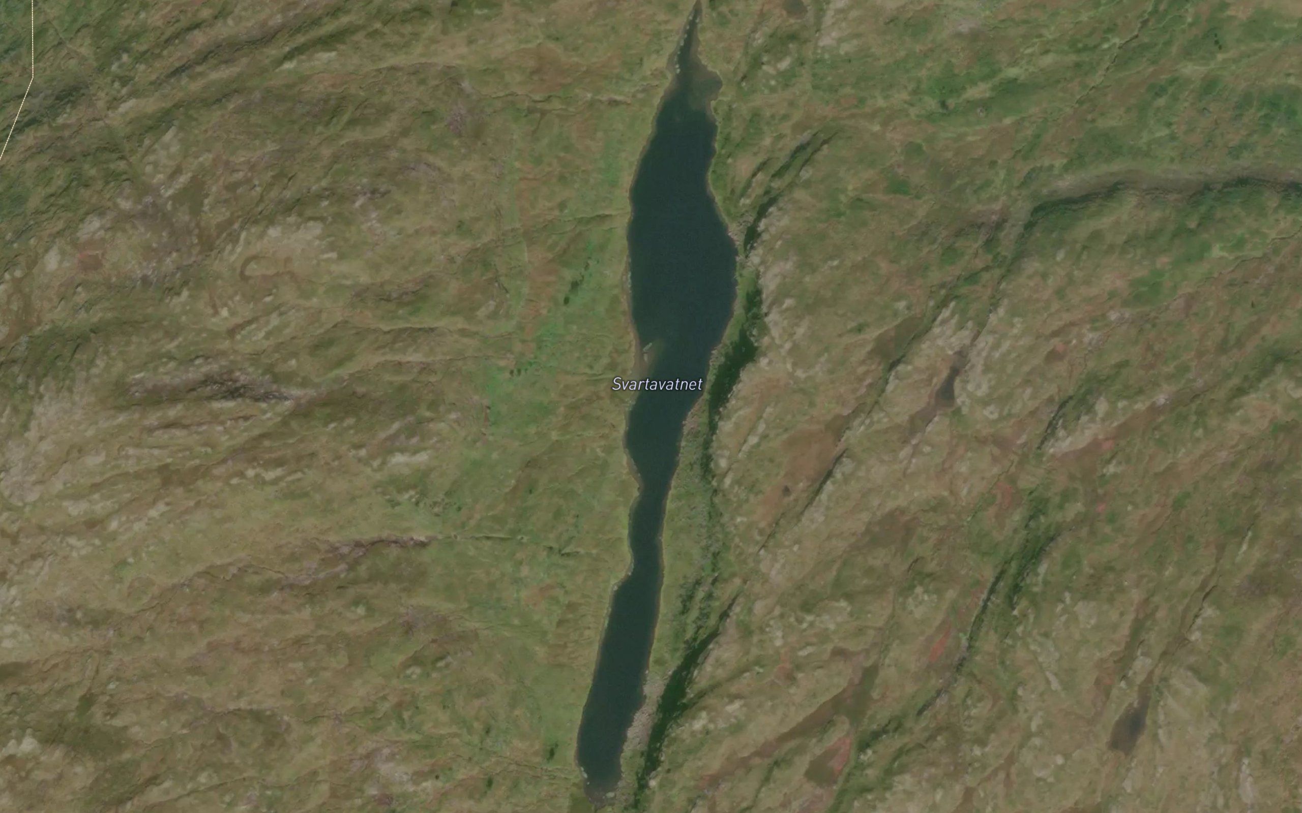 Svartavatnet