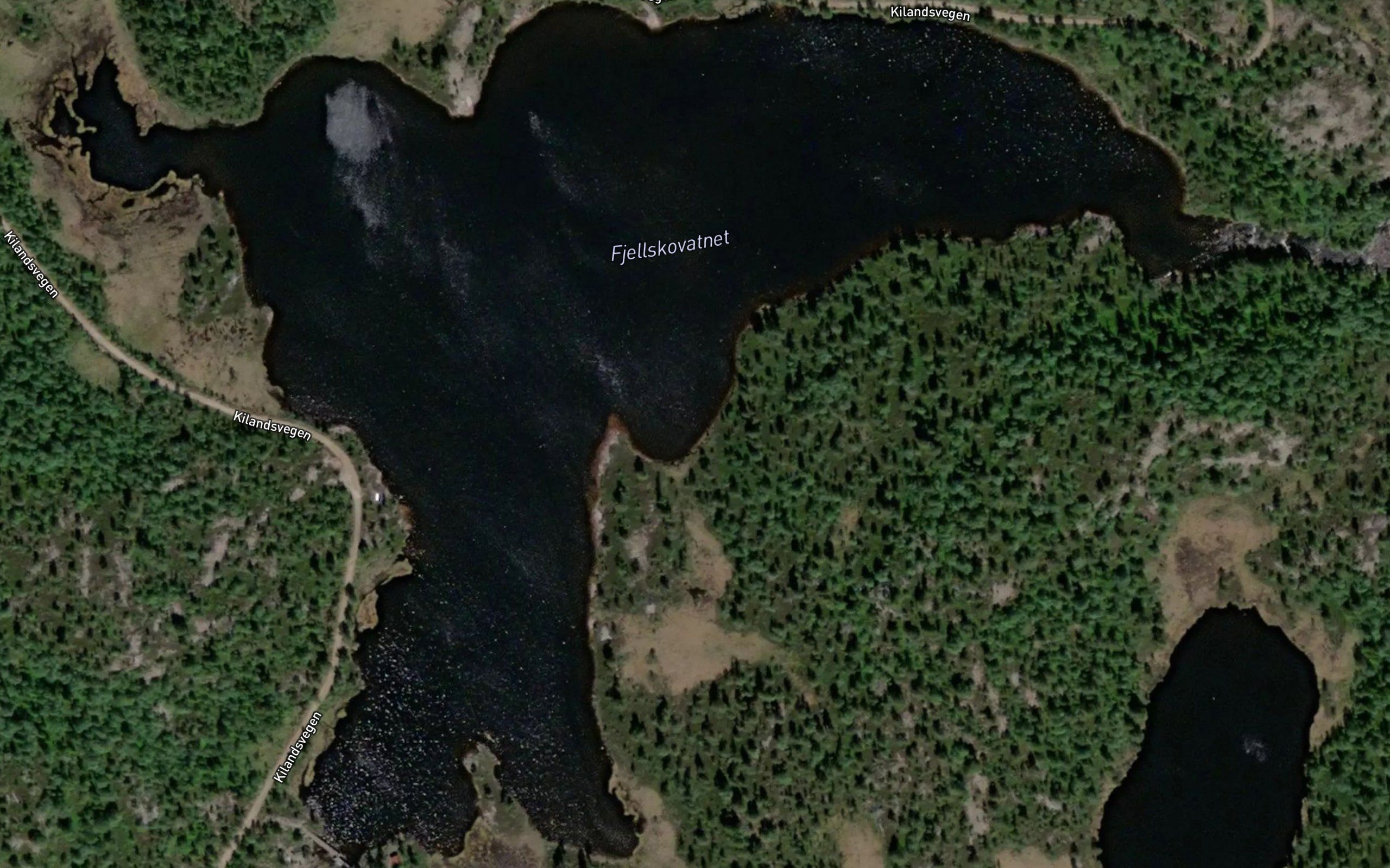 Fjellskovatnet
