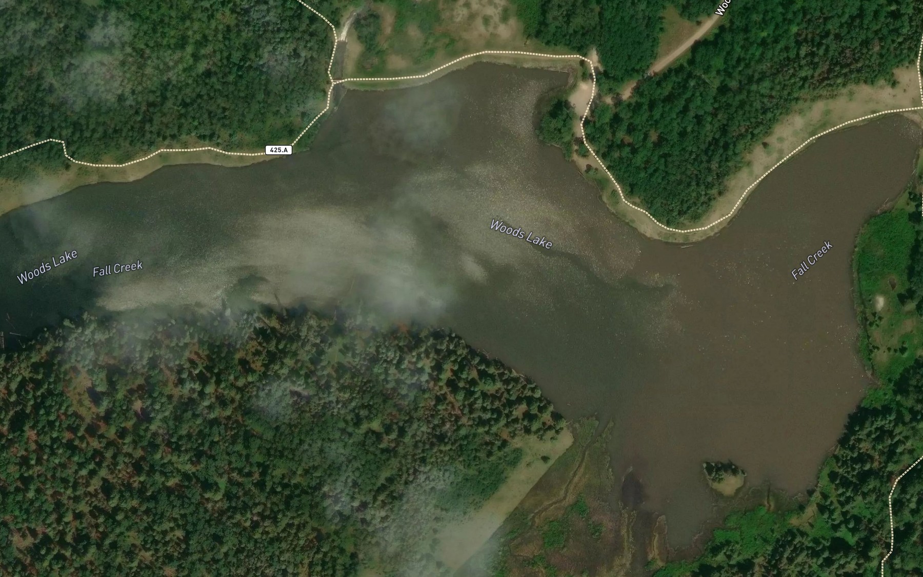 Satellite map of the Woods Lake