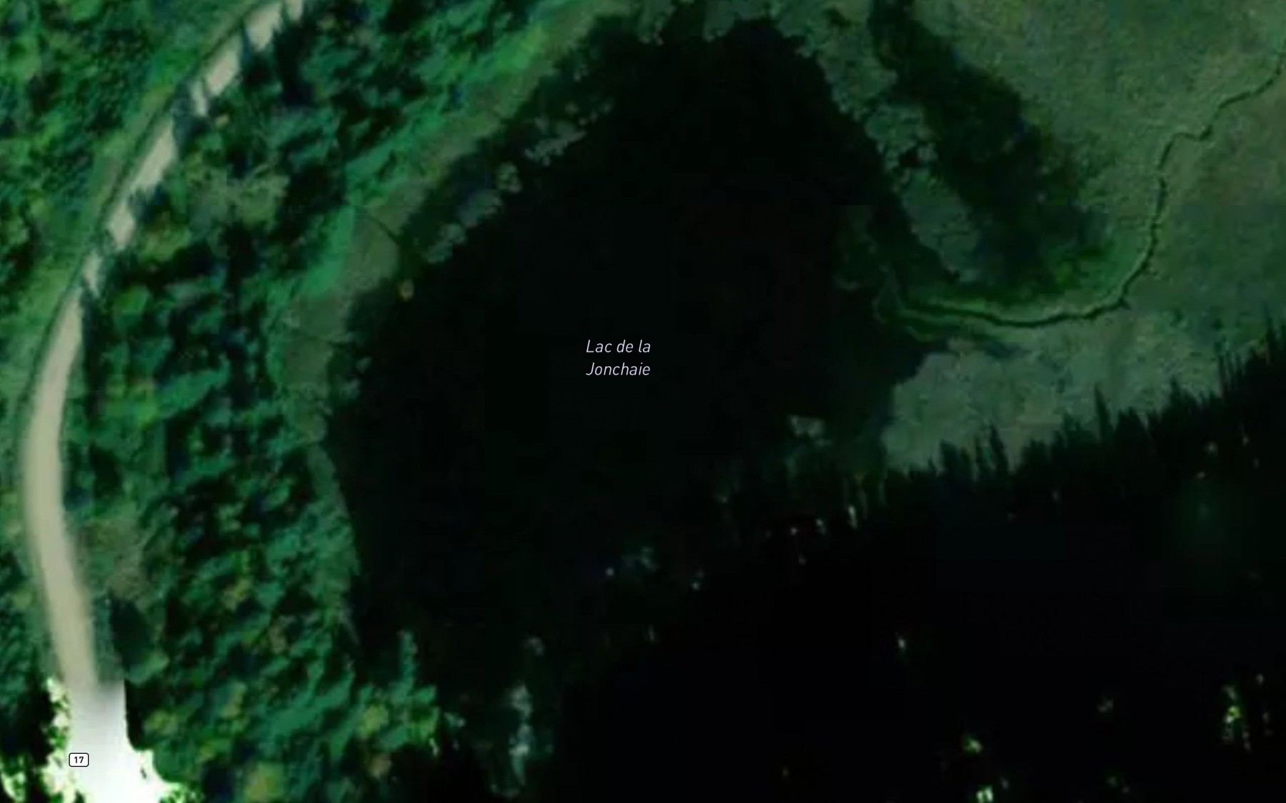 Satellite map of the Lac de la Jonchaie