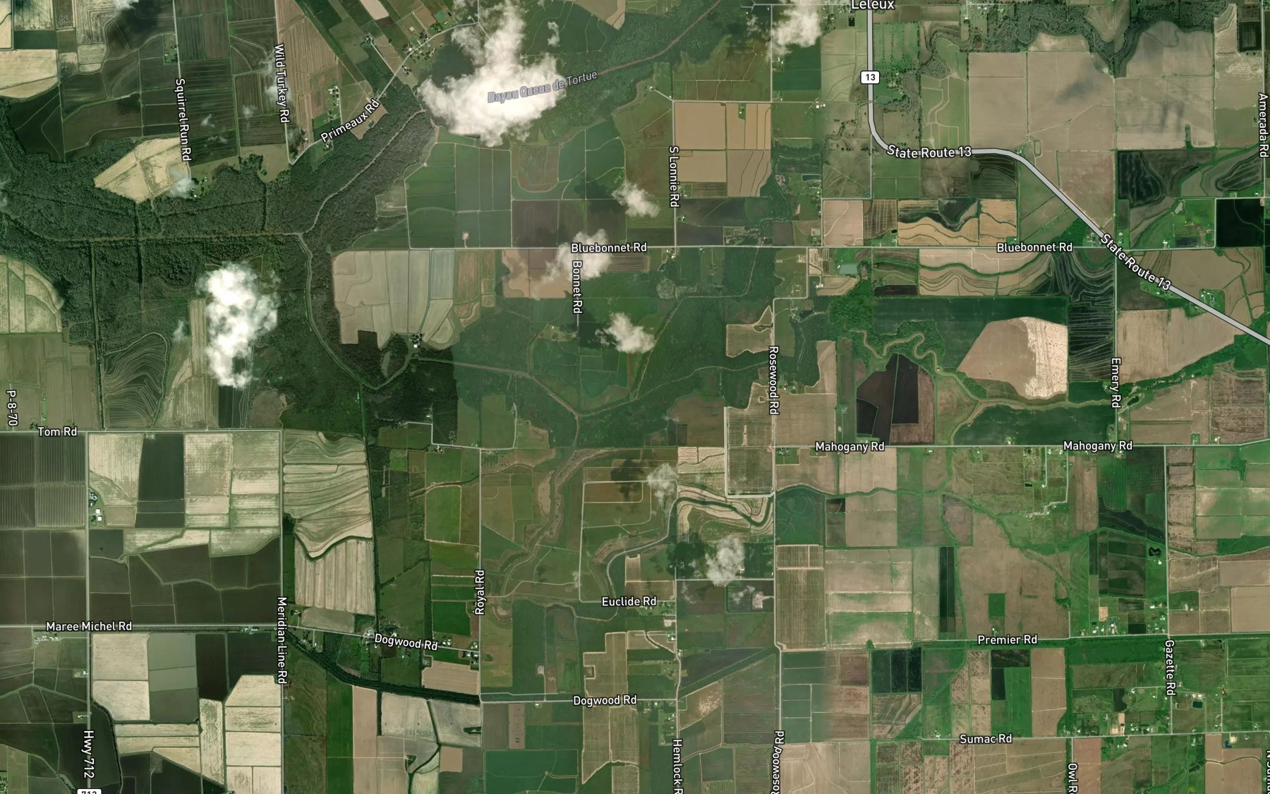 Satellite map of the Bayou Grand Marais