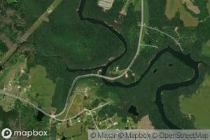 Timmons Branch