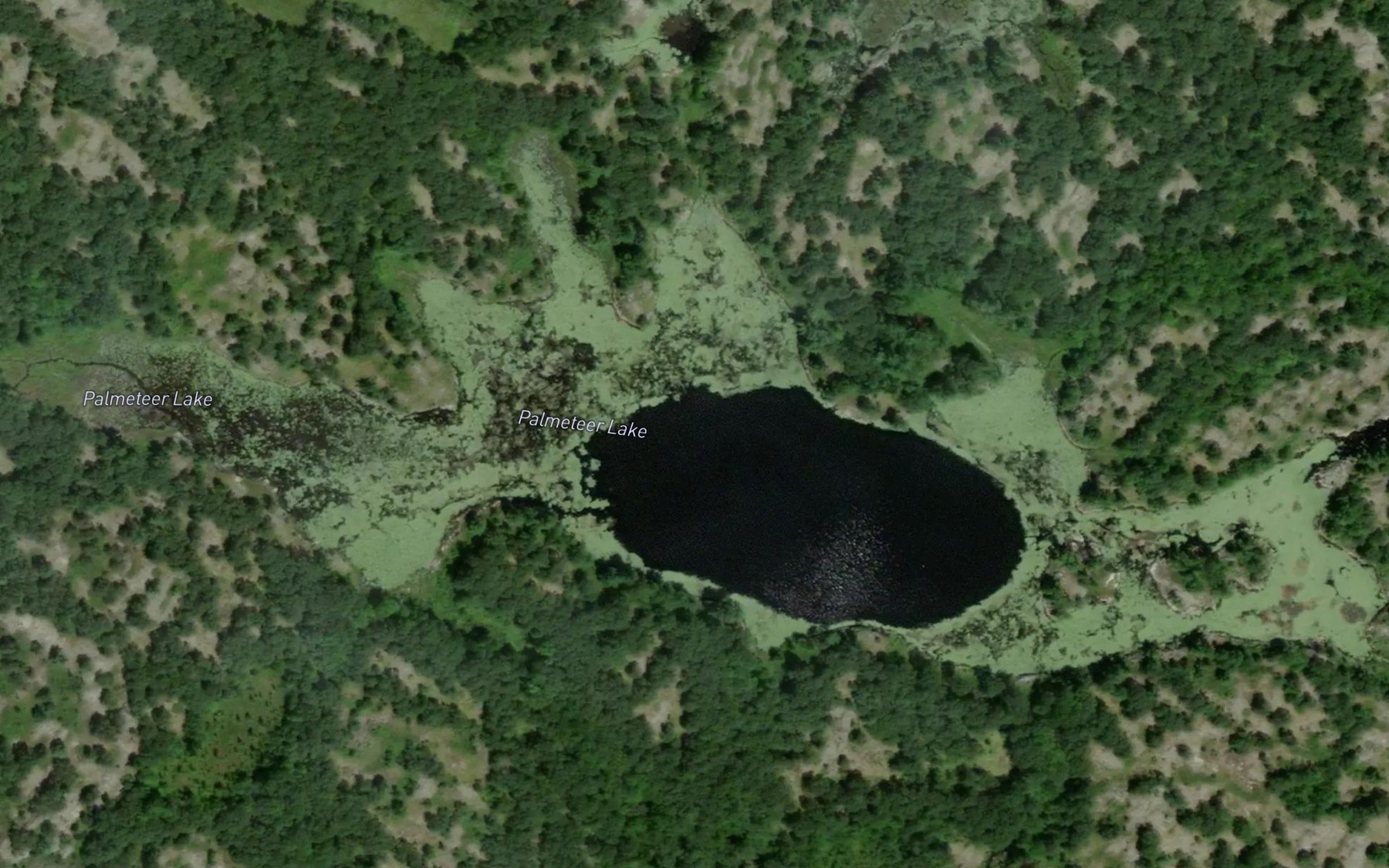Satellite map of the Palmeteer Lake