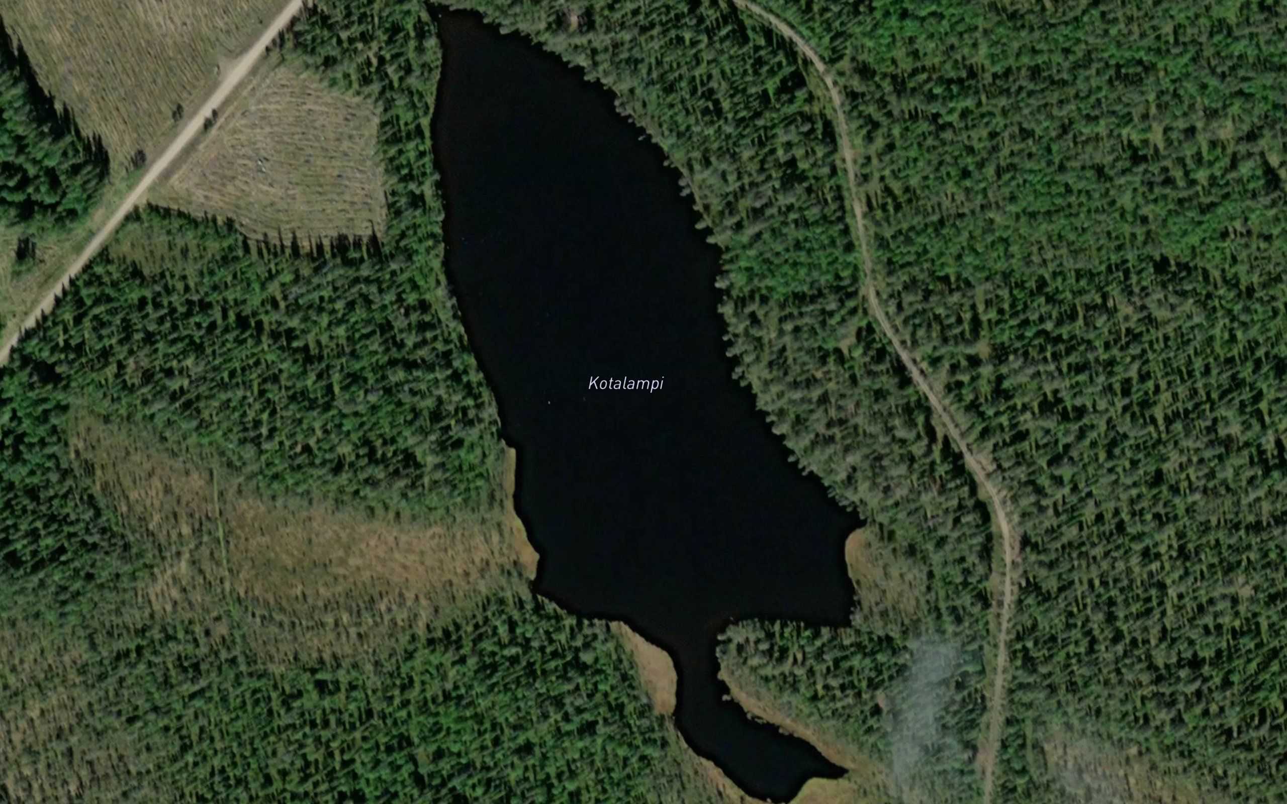 Kotalampi