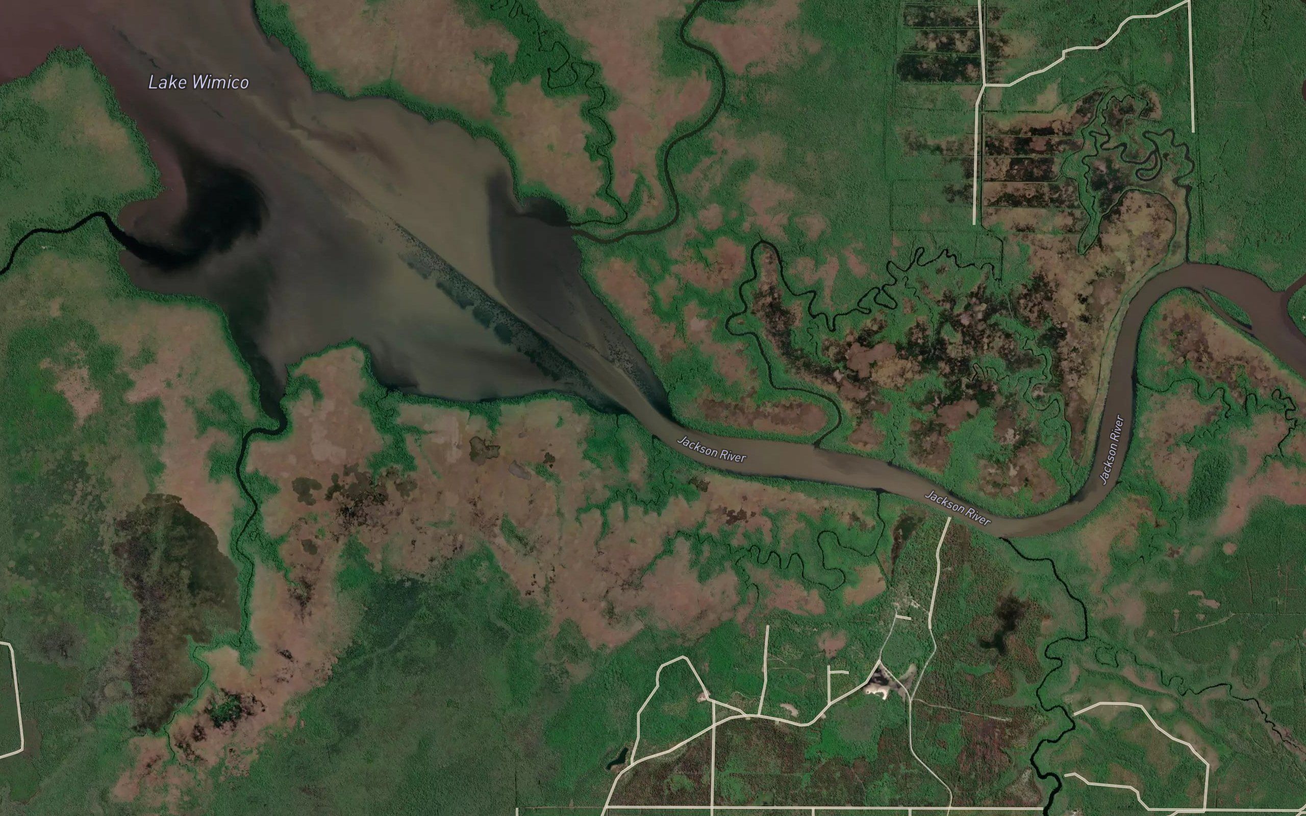 Jackson River