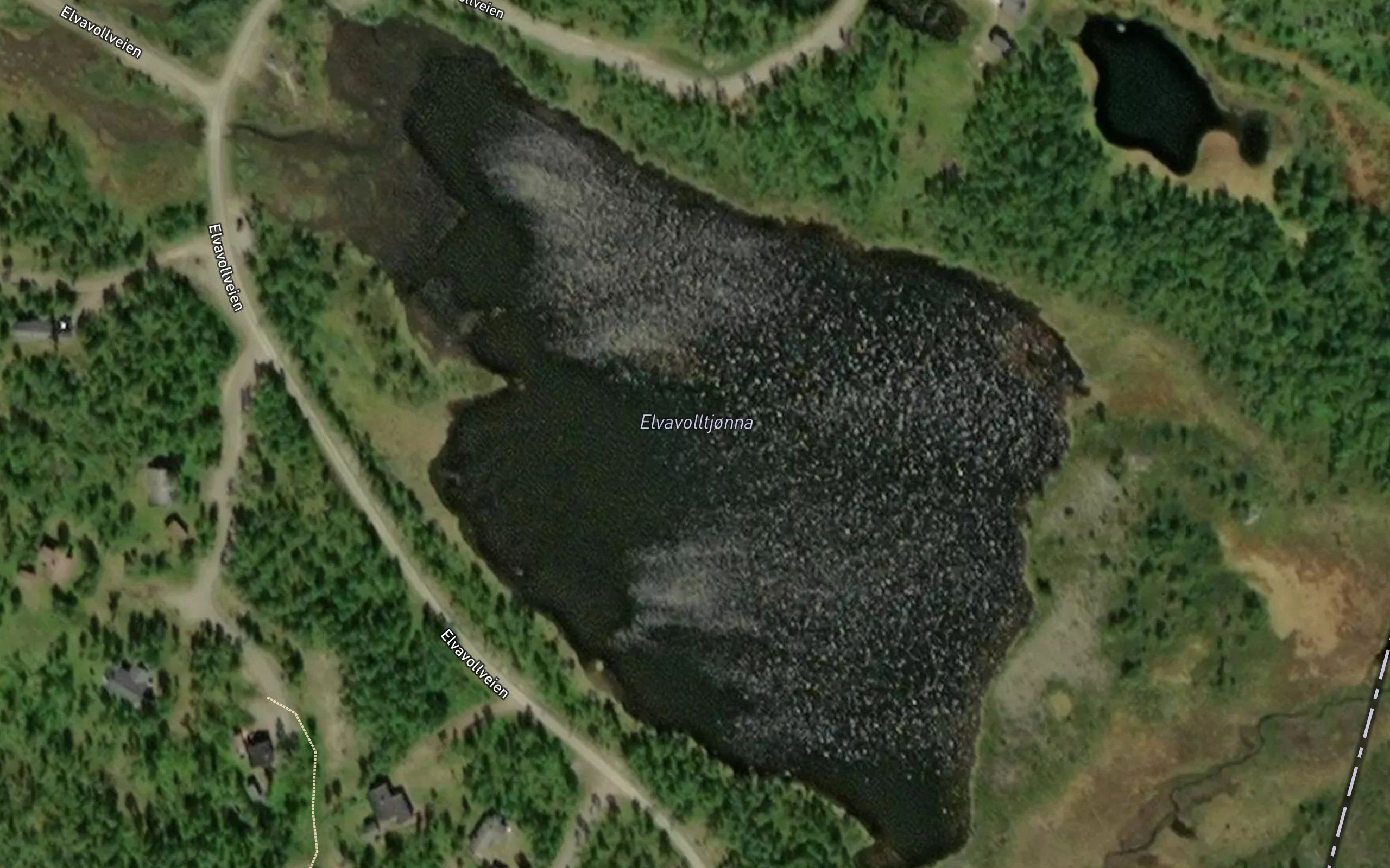 Volltjonna