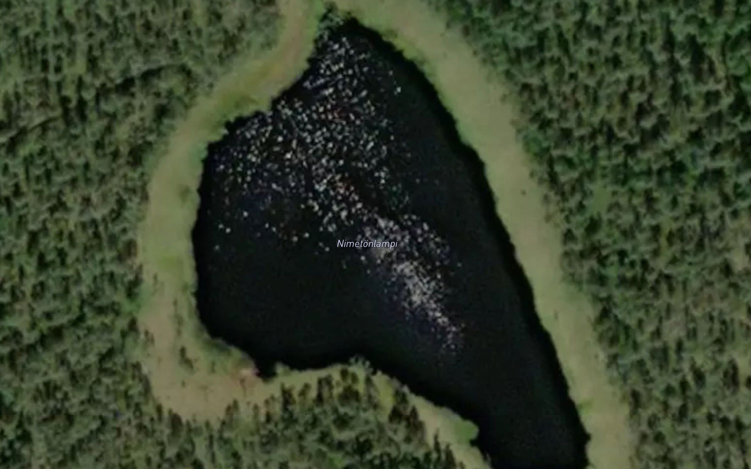 Nimetonlampi