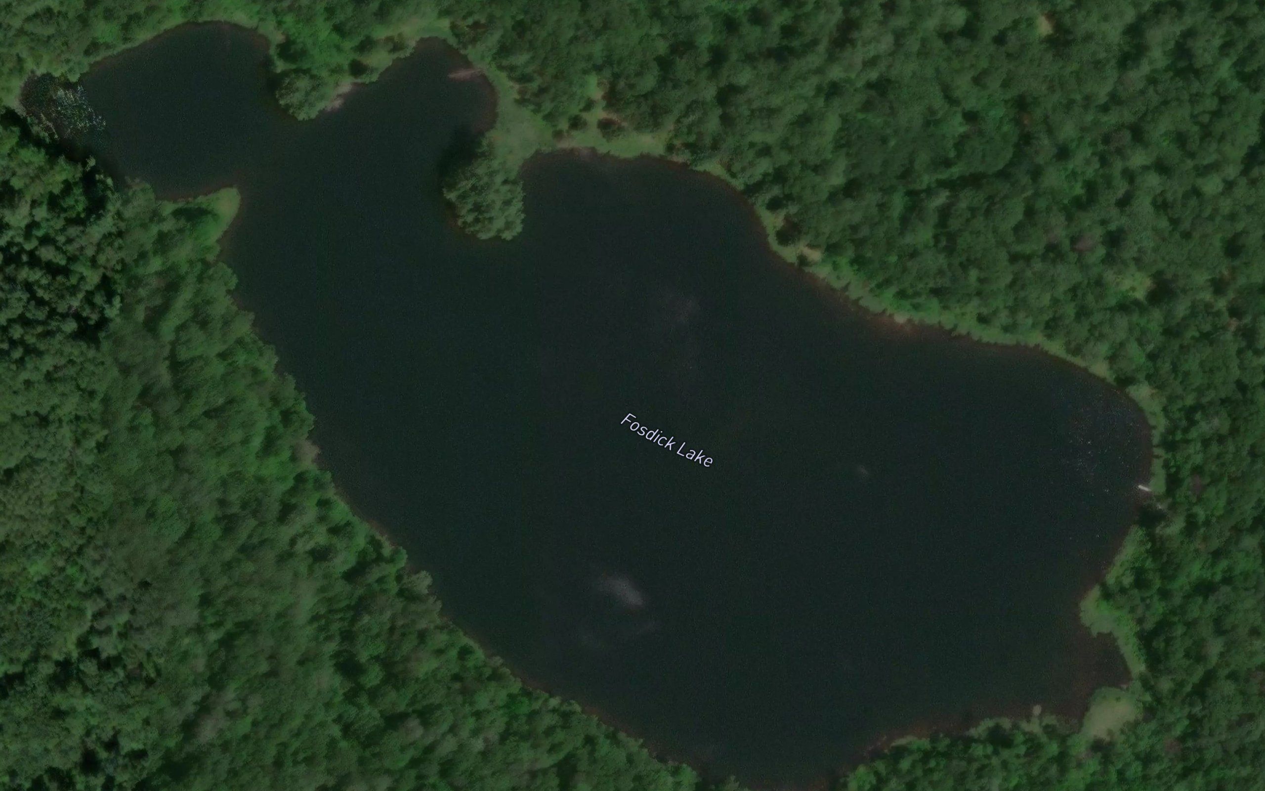 Fosdick Lake