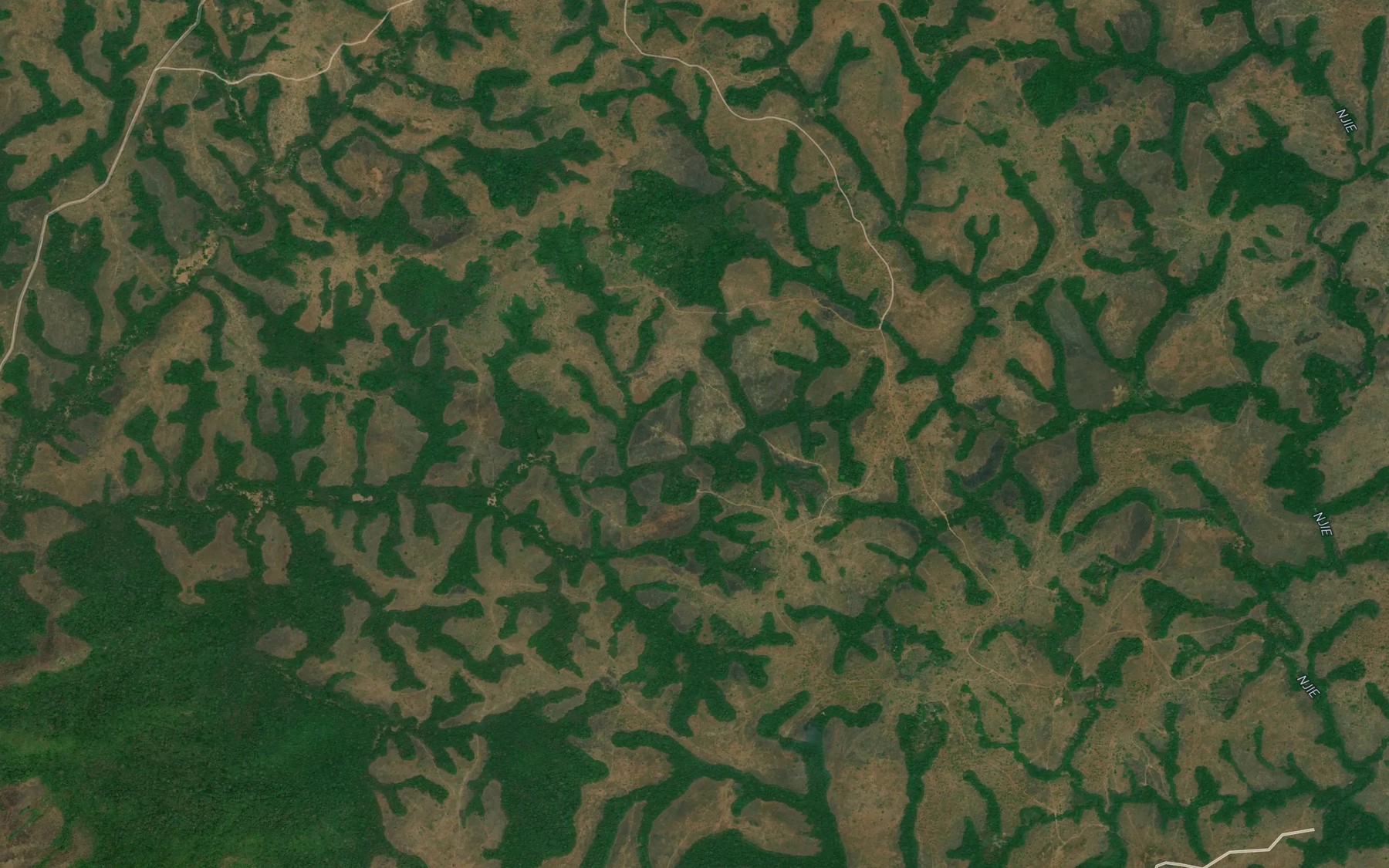 Satellite map of the Nche