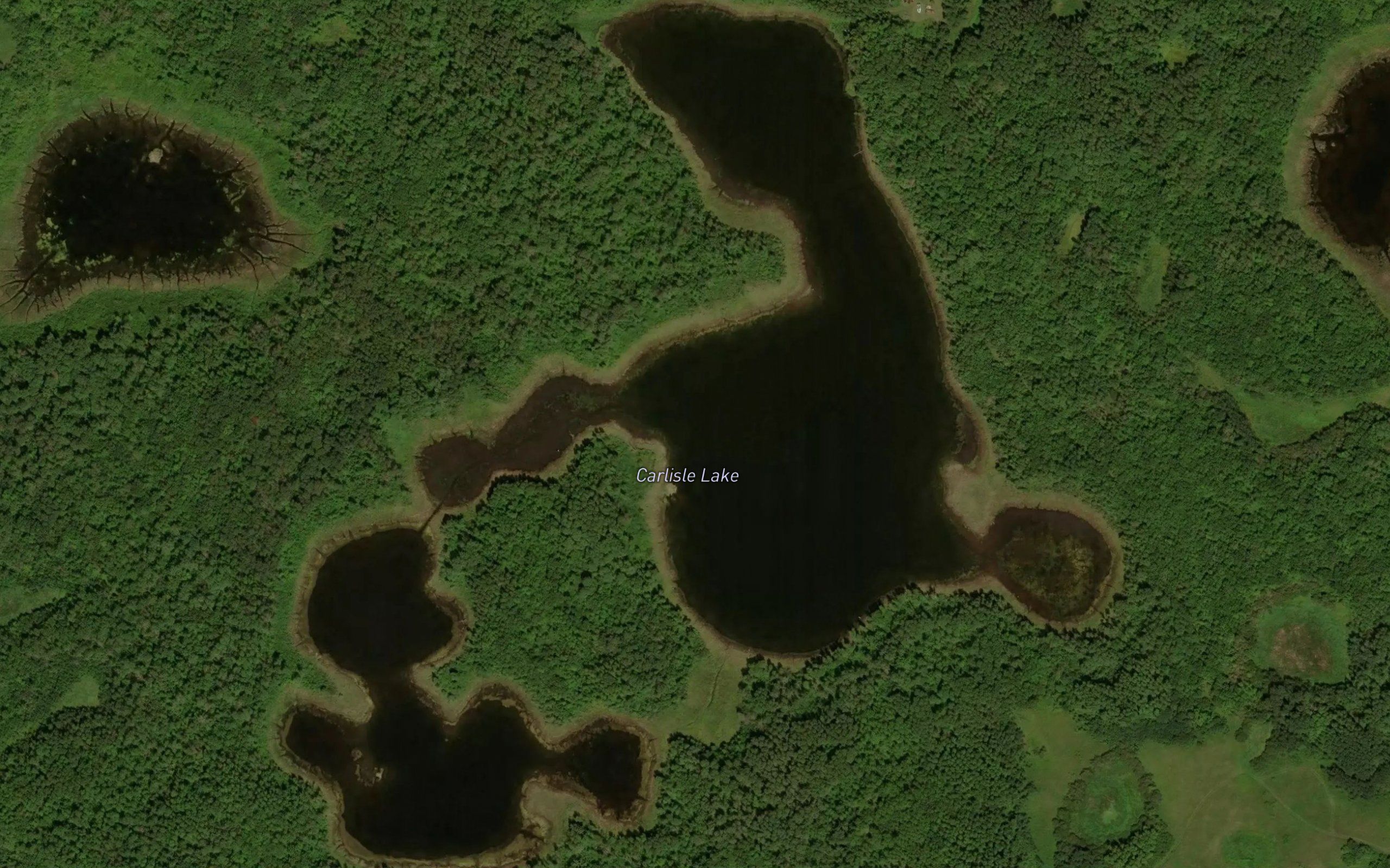 Carlisle Lake