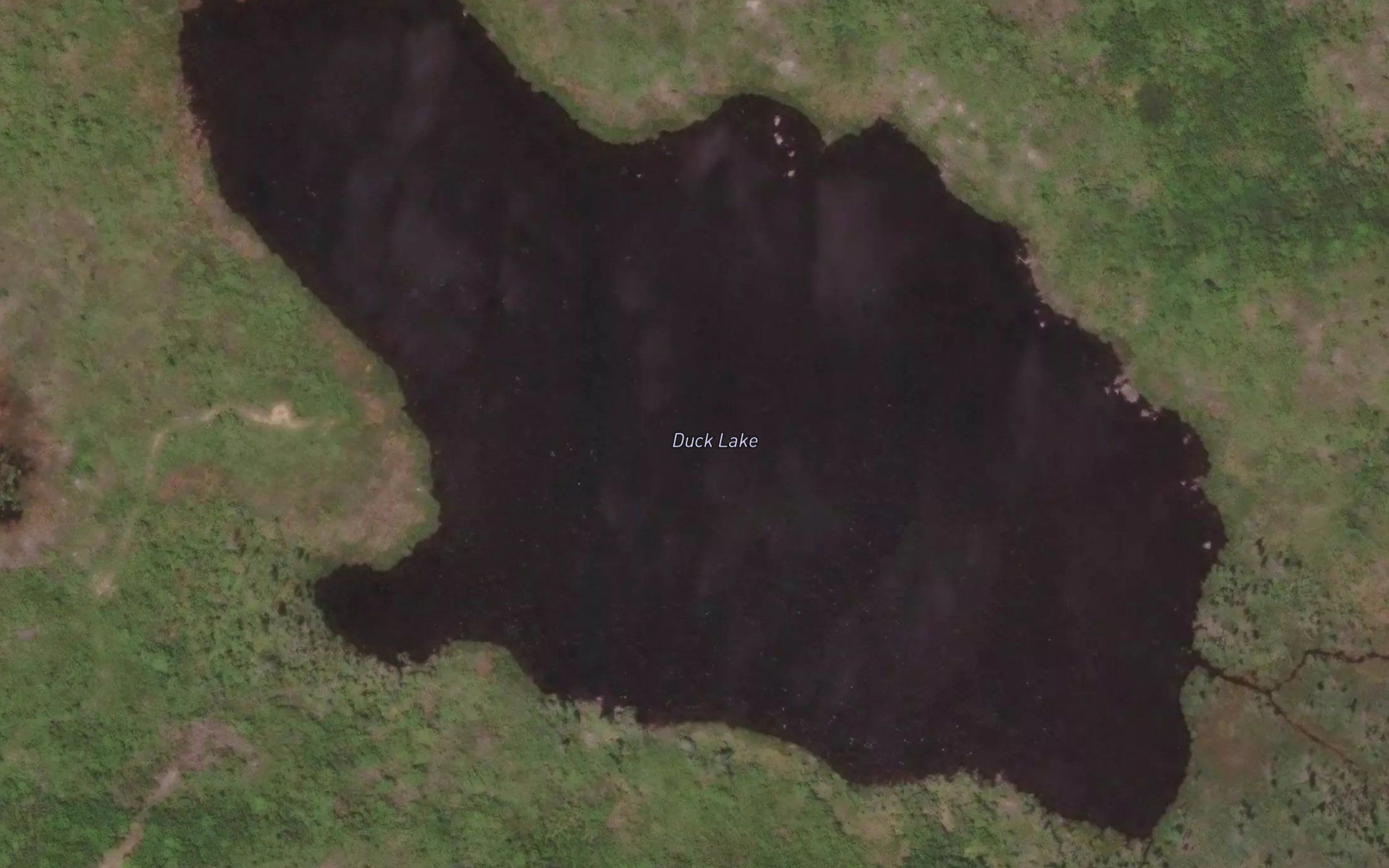 Duck Lake