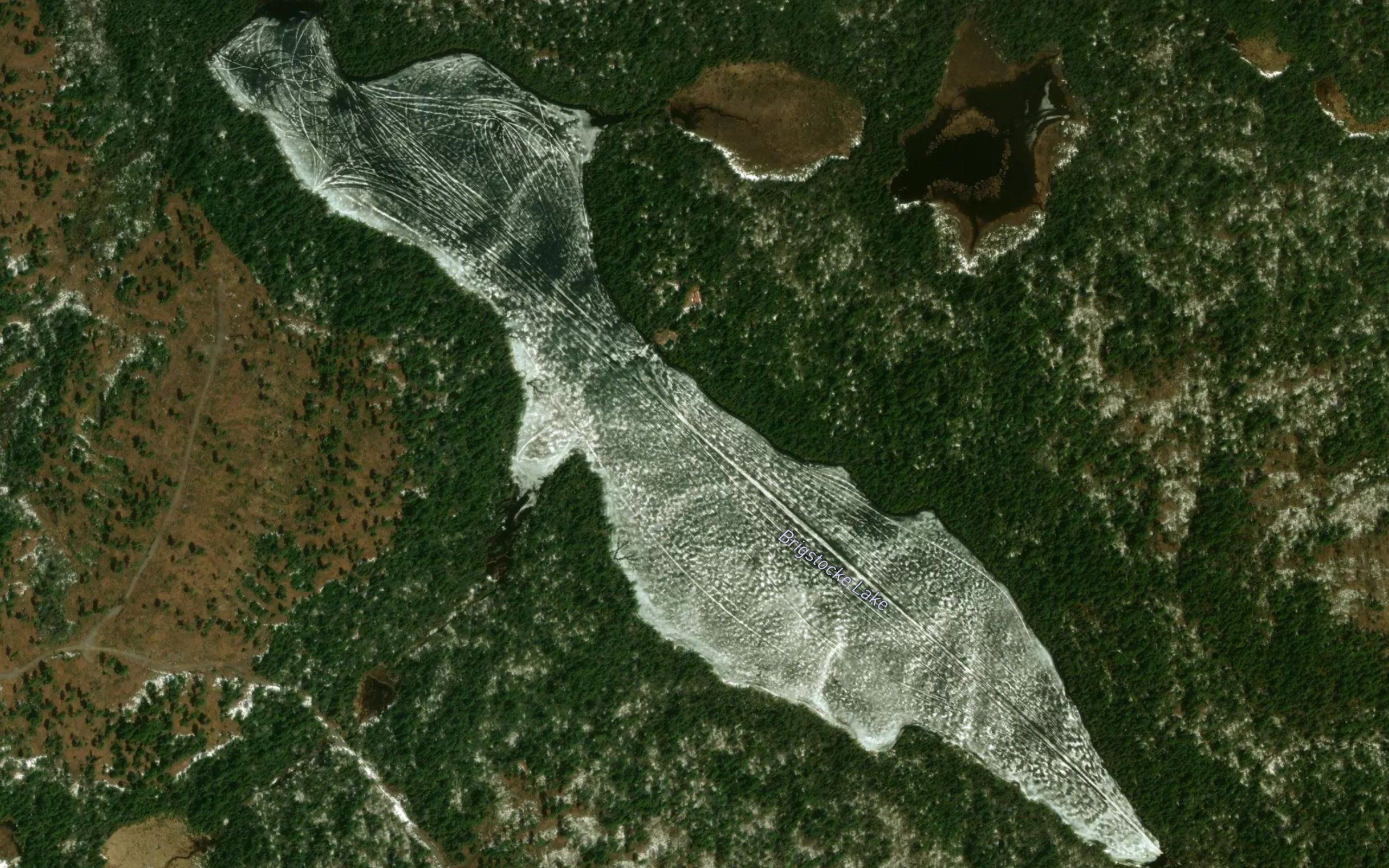 Brigstocke Lake