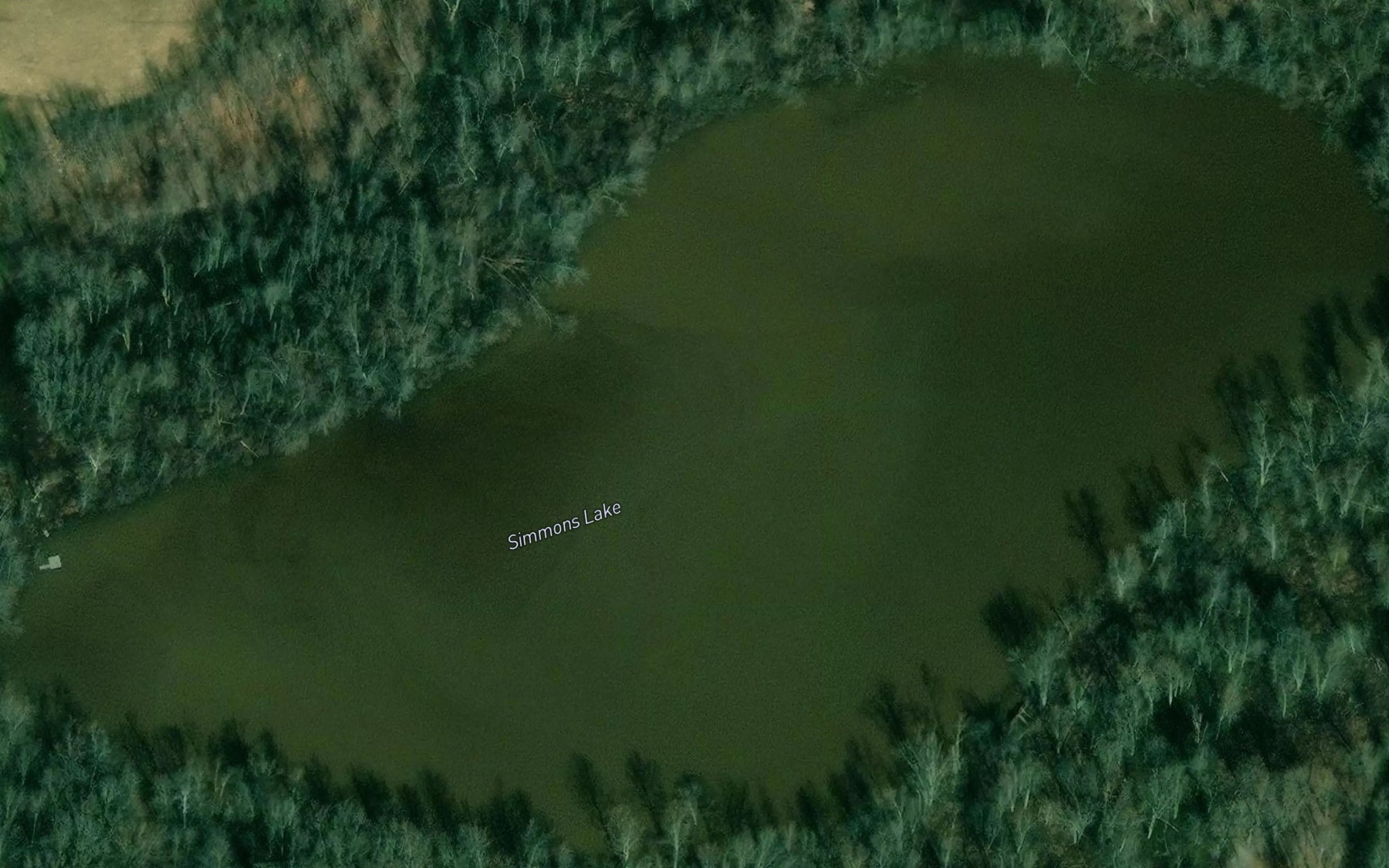 Satellite map of the Simmons Lake