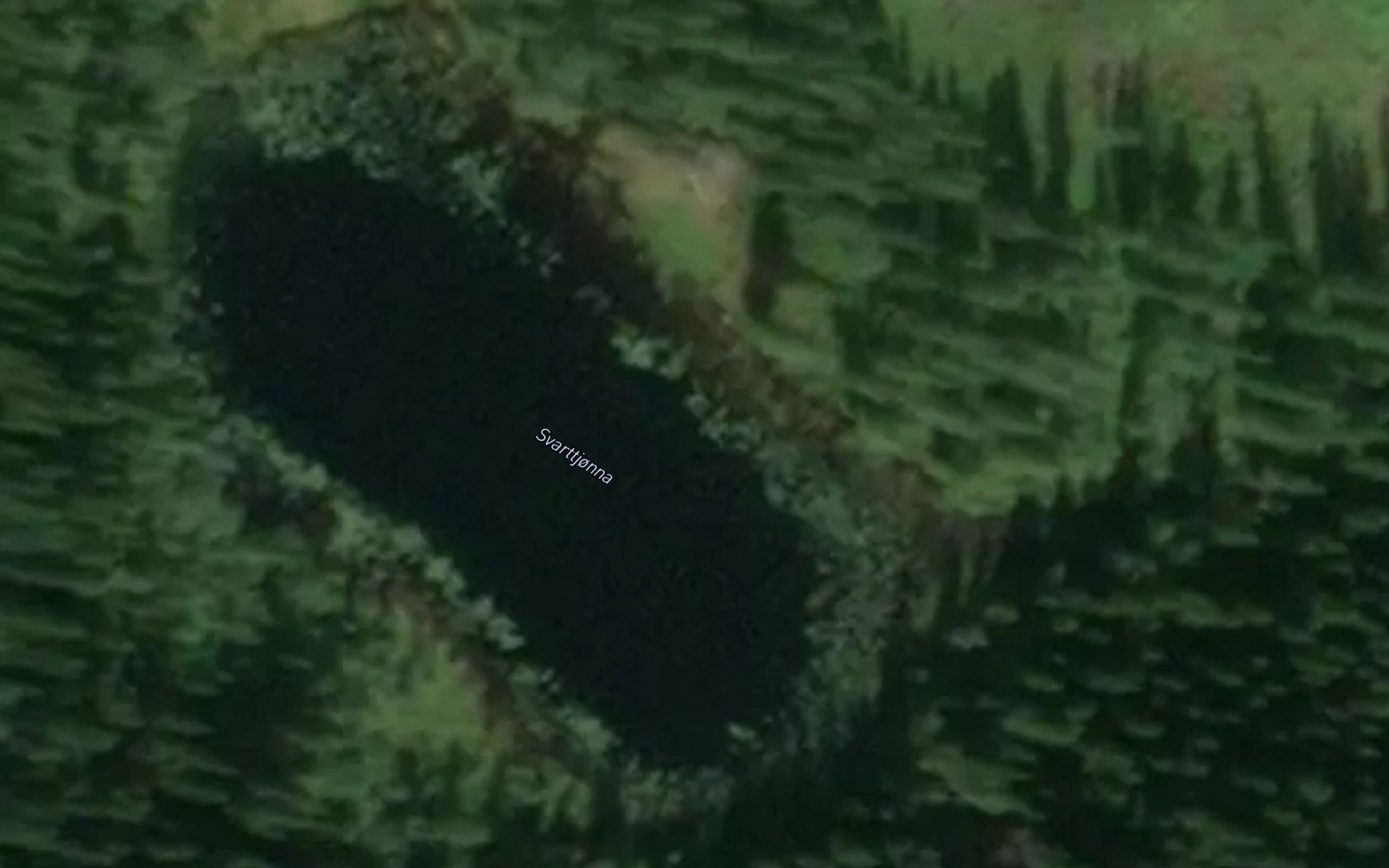 Svarttjonna