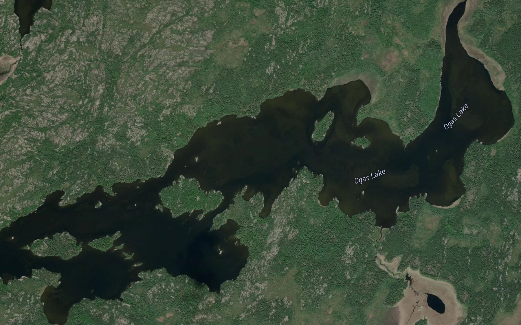 Satellite map of the Ogas Lake