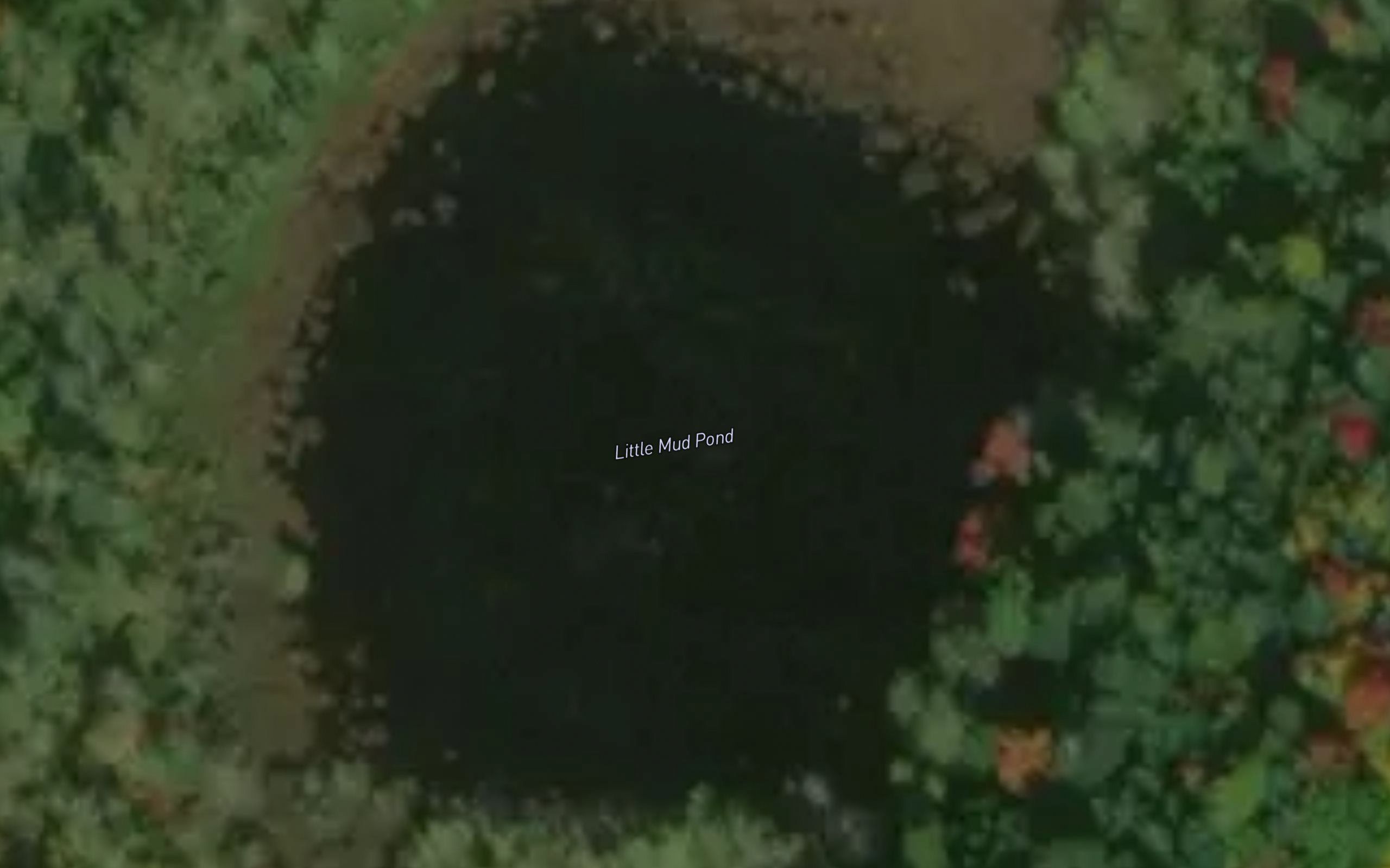 Little Mud Pond