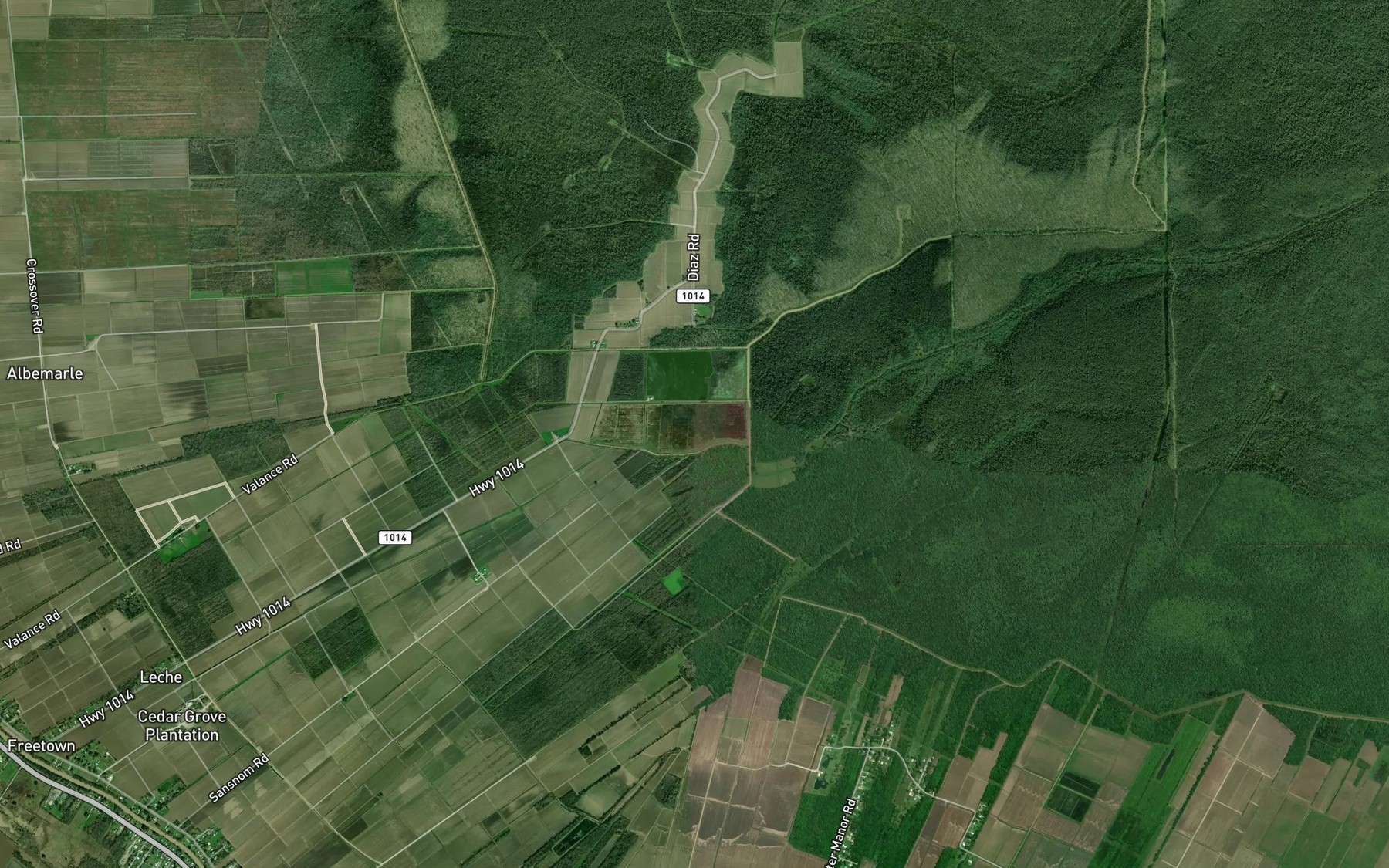 Satellite map of the Cedar Grove Plantation Pond