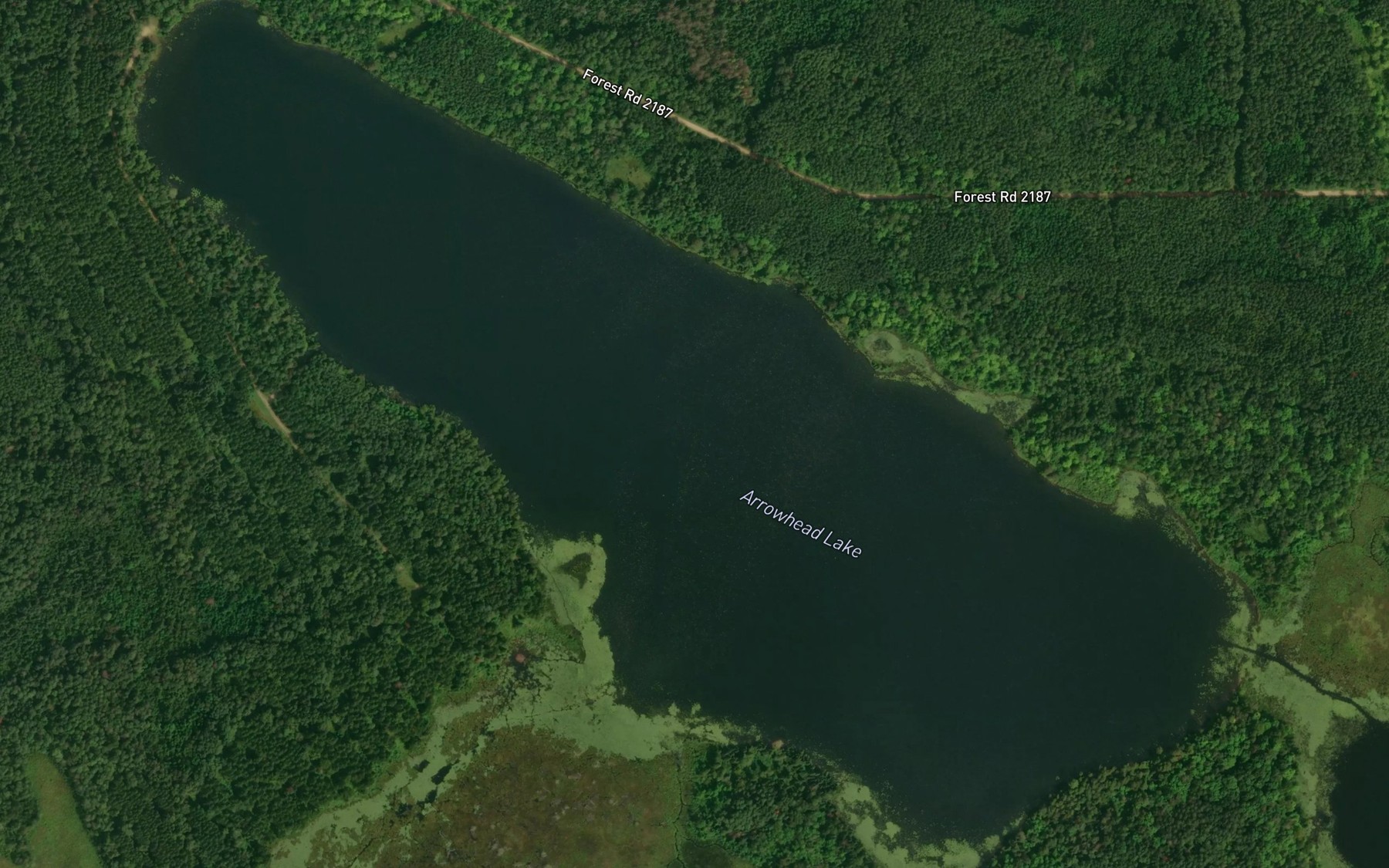 Satellite map of the Arrowhead Lake
