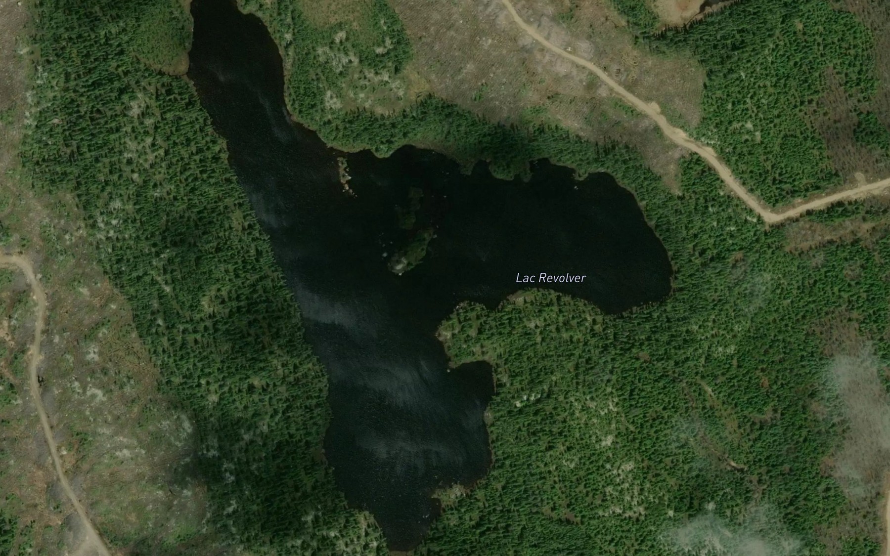 Satellite map of the Lac Revolver