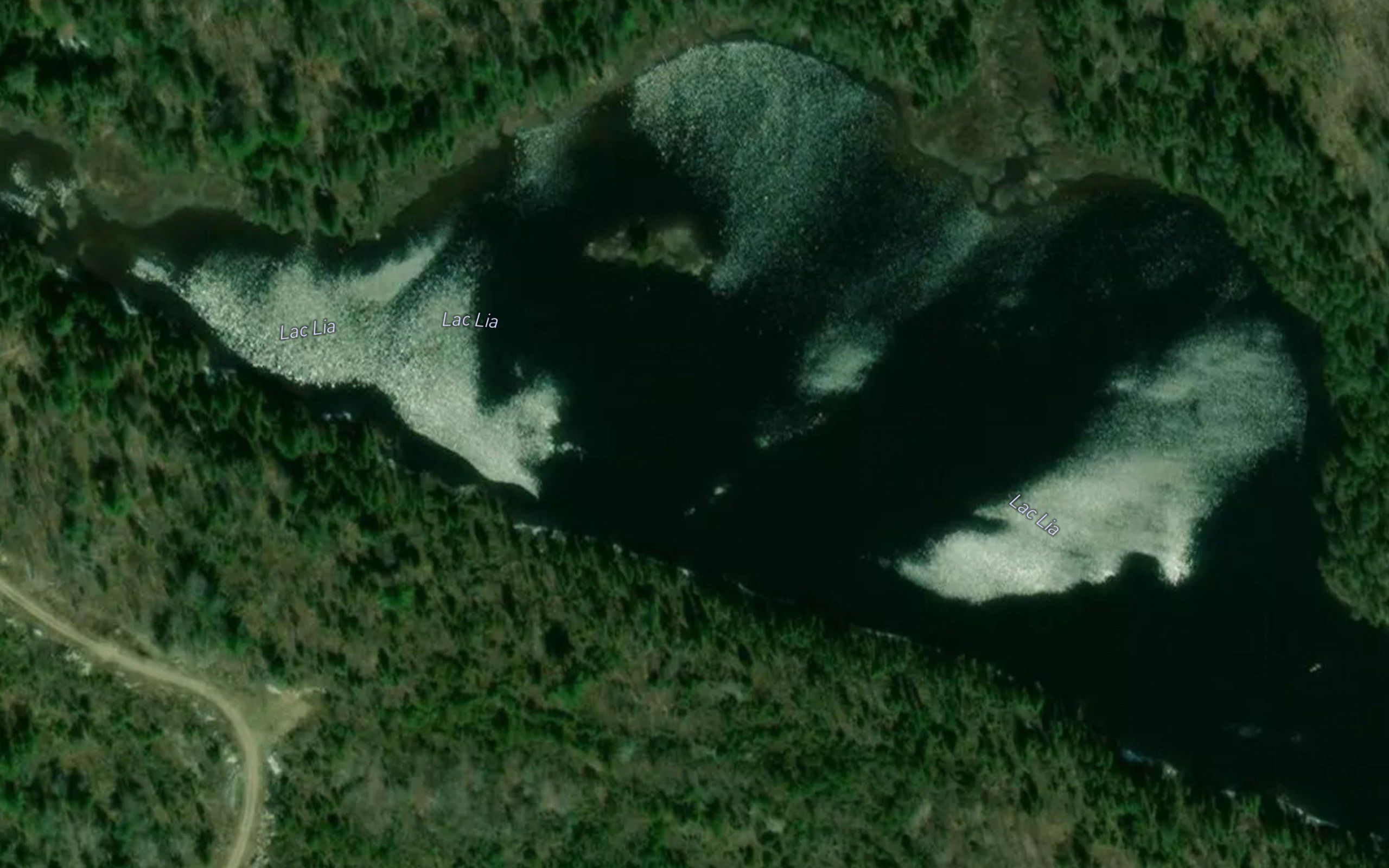 Lac Lia