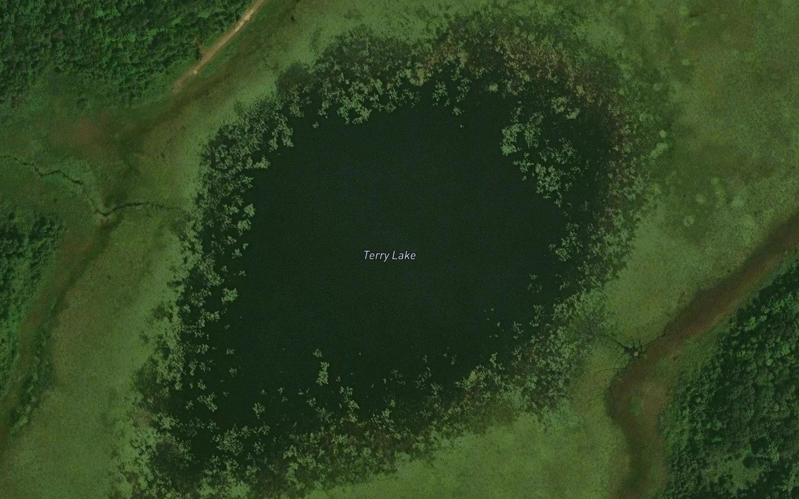 Terry Lake