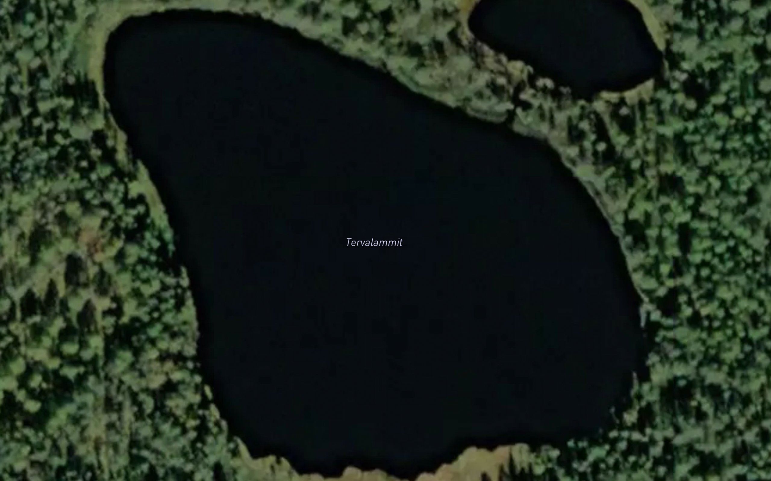 Tervalammit