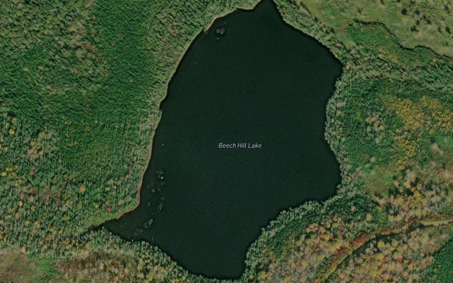Satellite map of the Beech Hill Lake