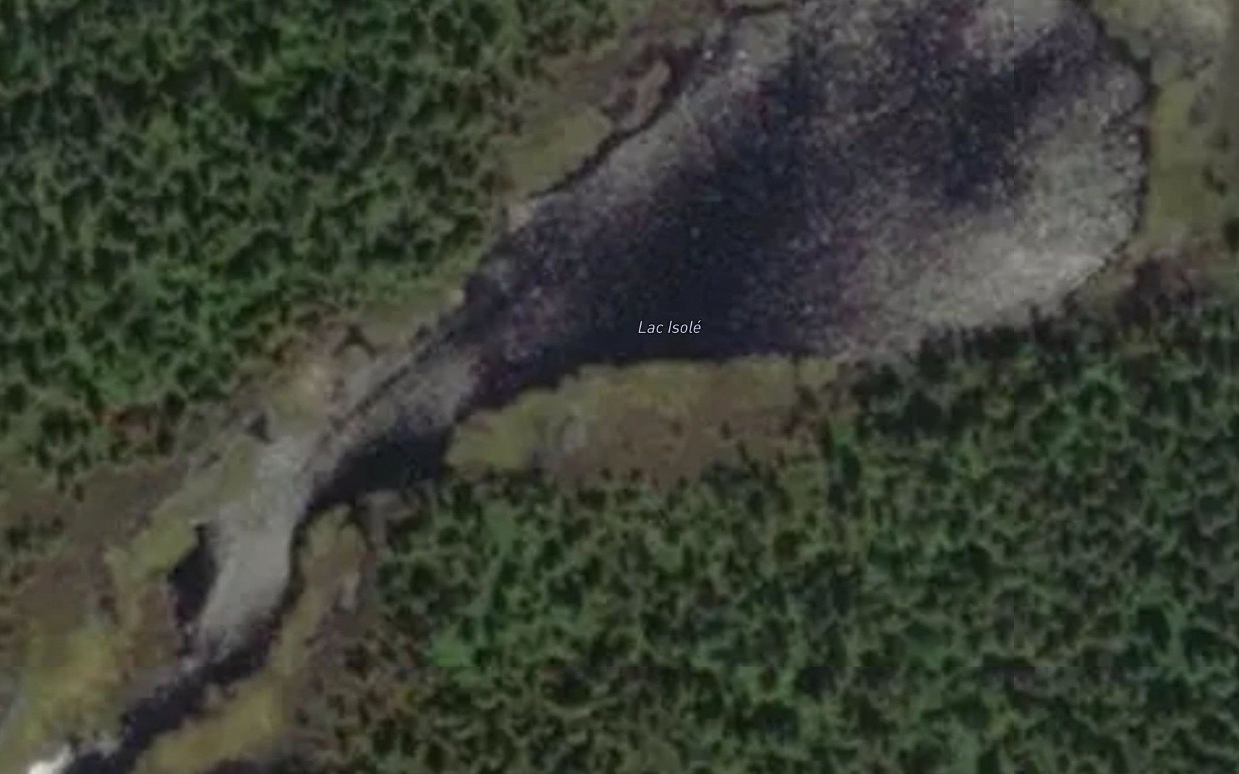 Satellite map of the Lac Isole