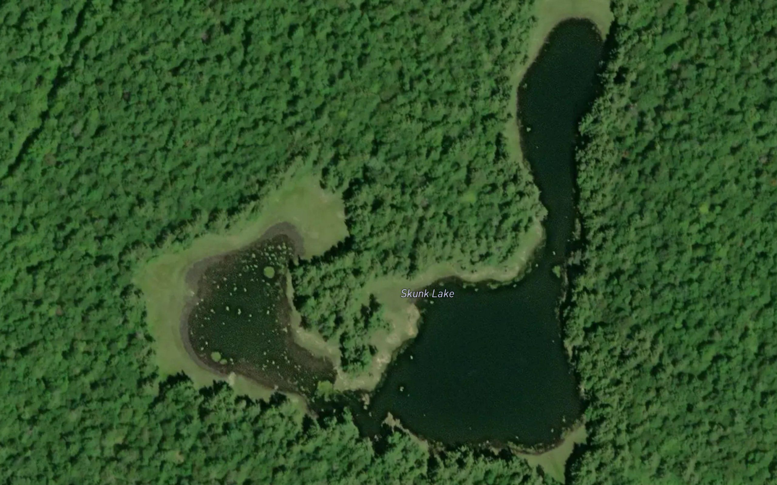 Skunk Lake