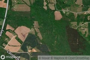 North Fork Cypress Creek