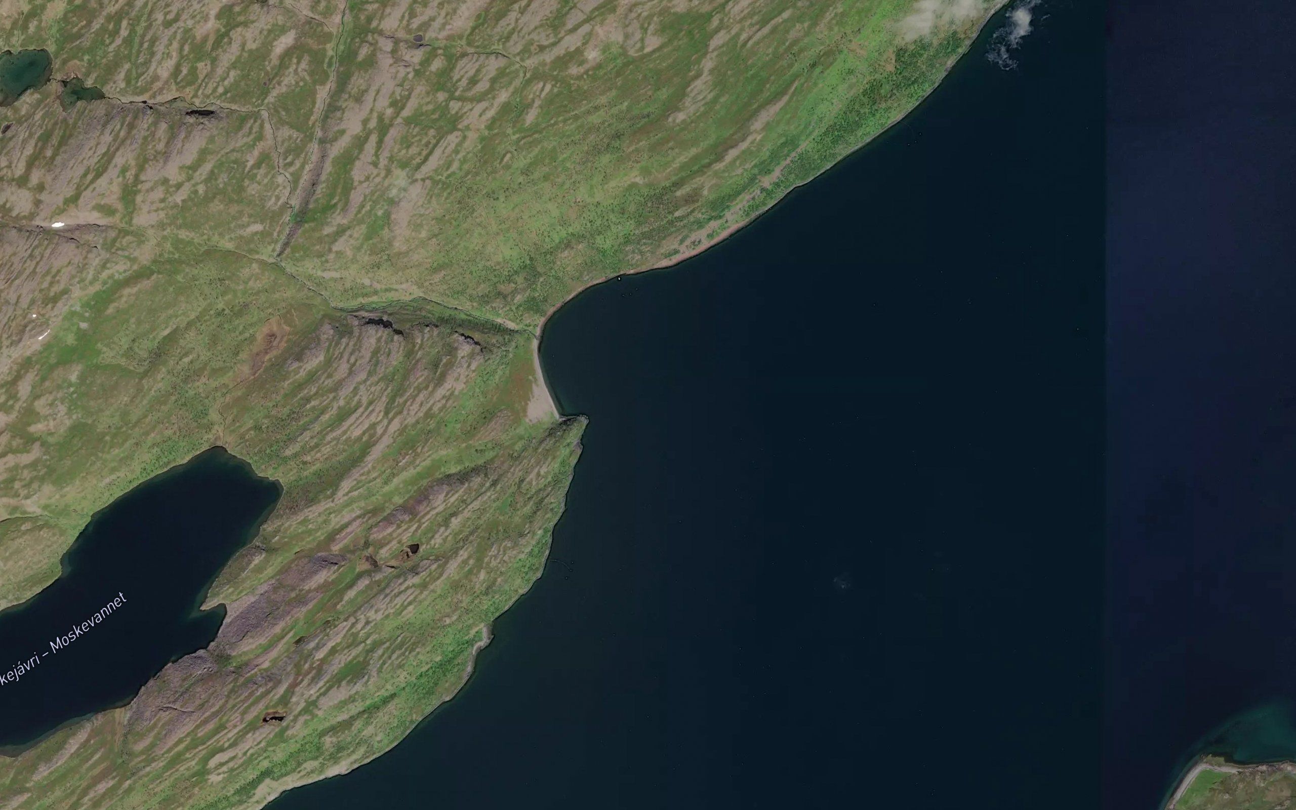 Moskevika