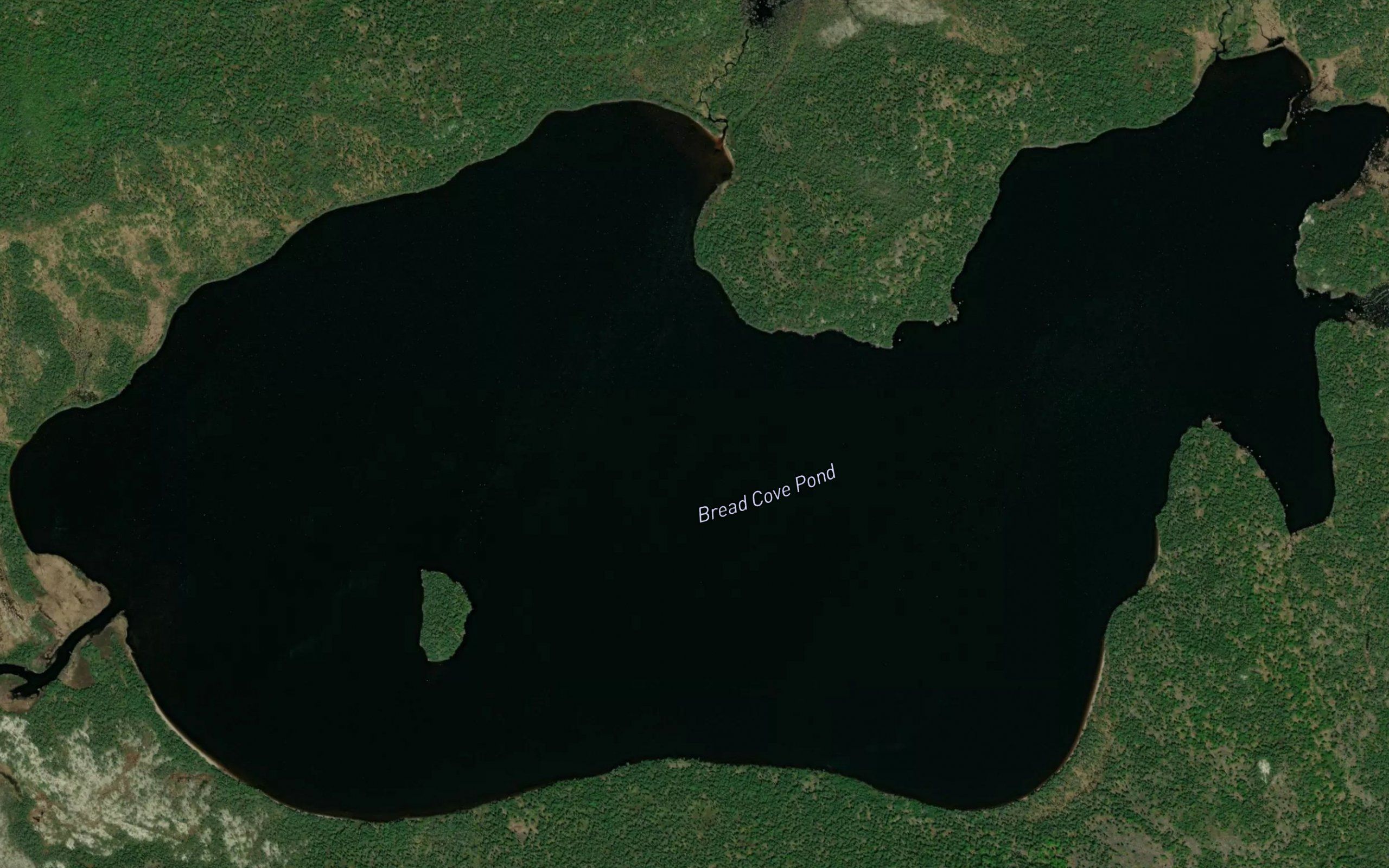 Bread Cove Pond