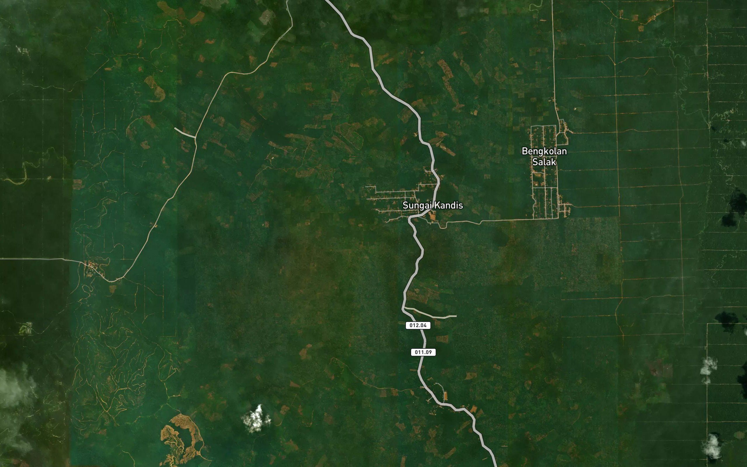 Sungai Jaring