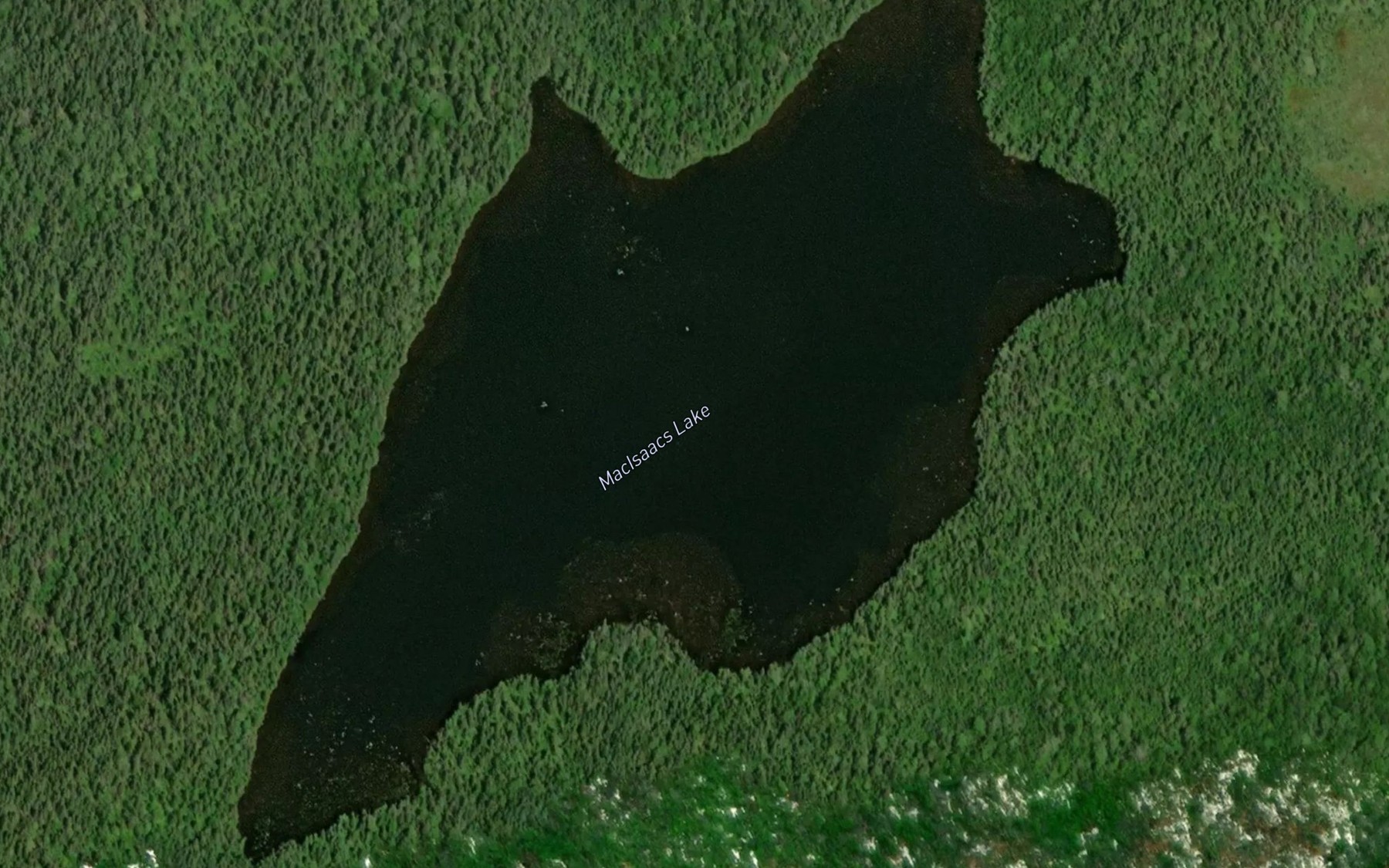 Satellite map of the MacIsaacs Lake