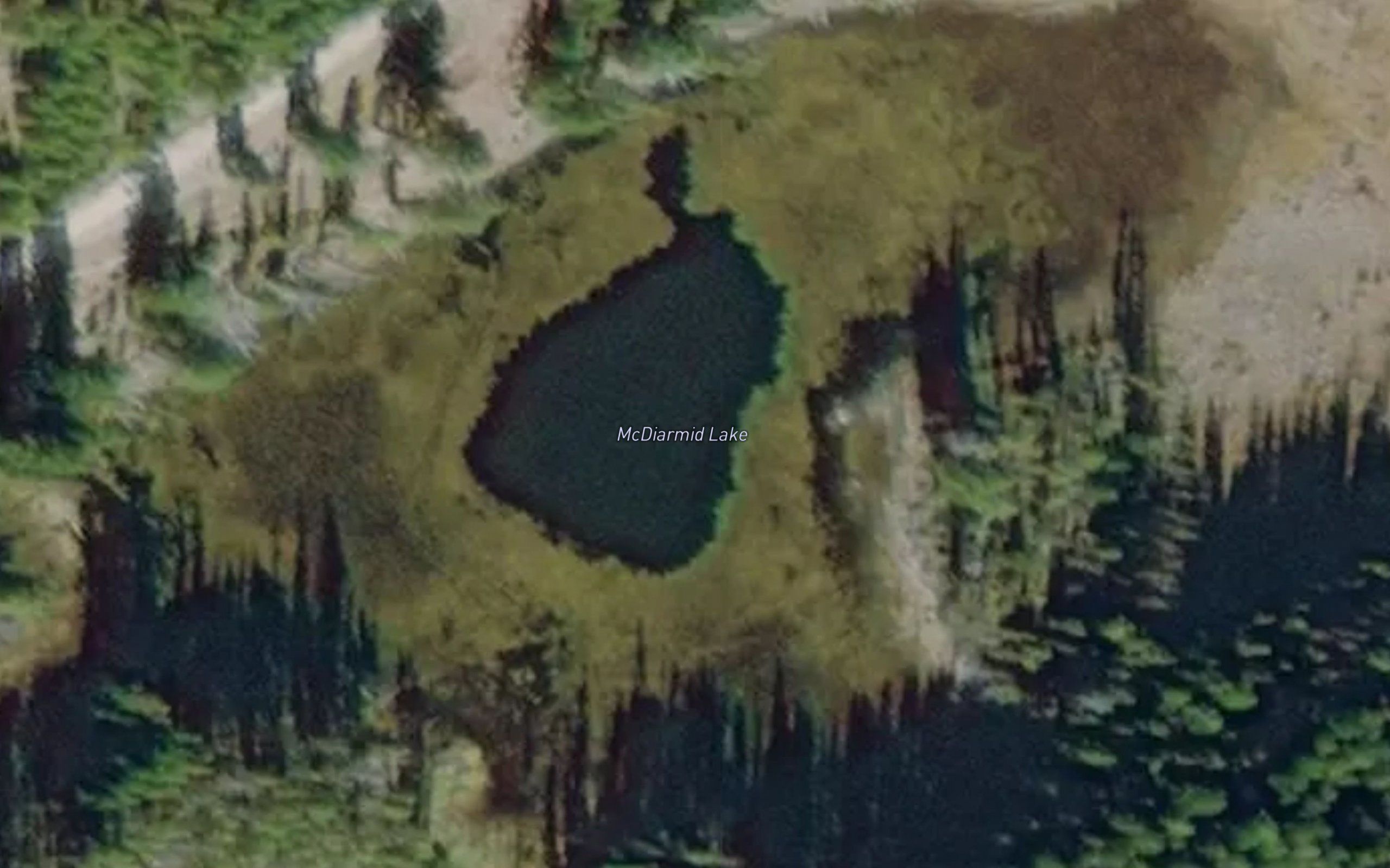 McDiarmid Lake