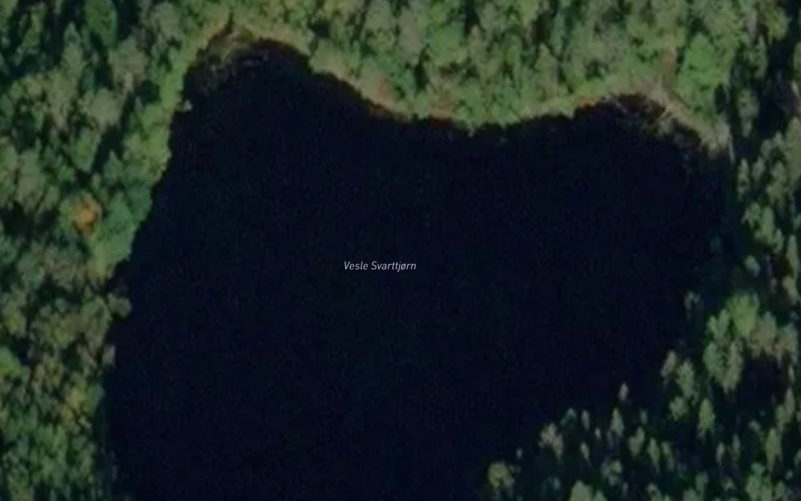 Svarttjorn,vesle