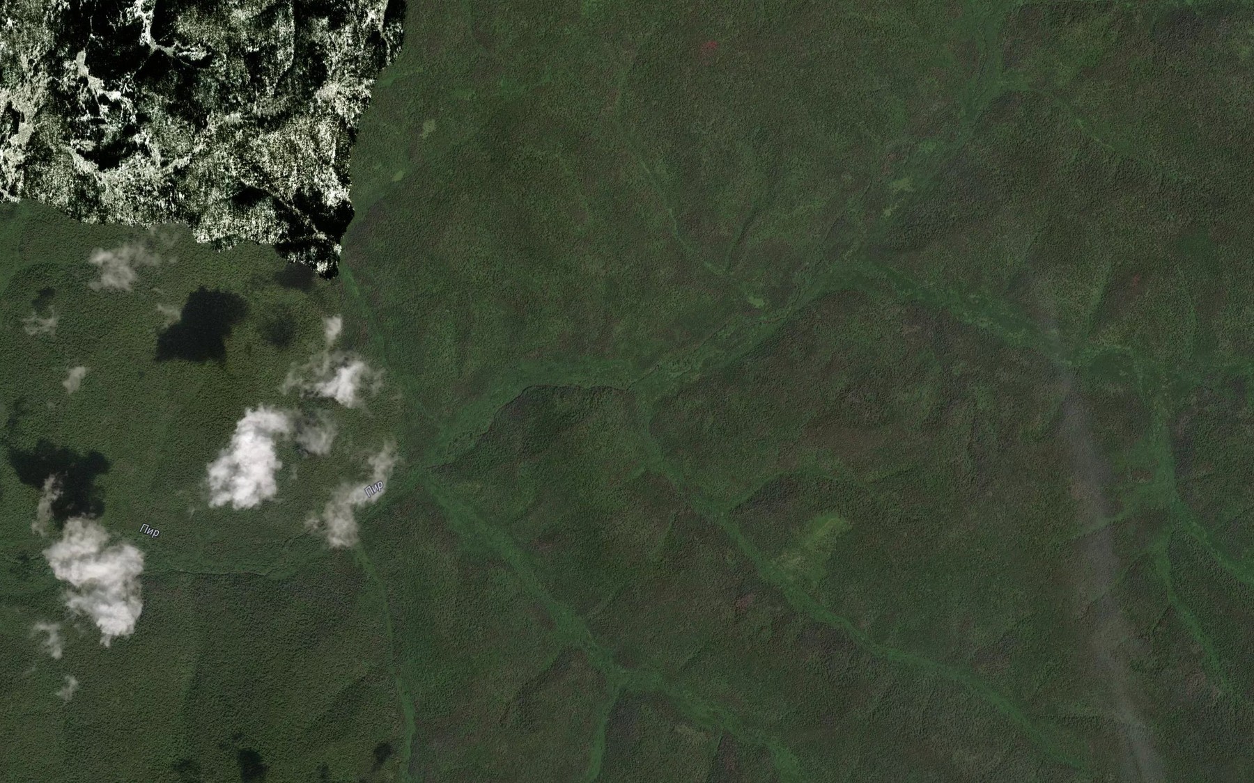 Satellite map of the Svetlyy