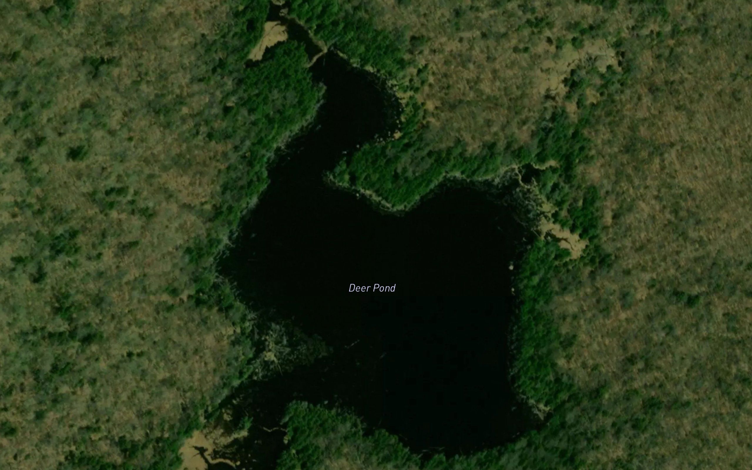 Deer Pond