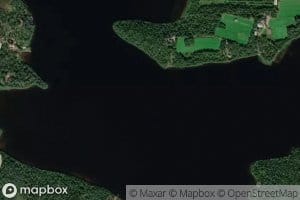 Ollinhauta