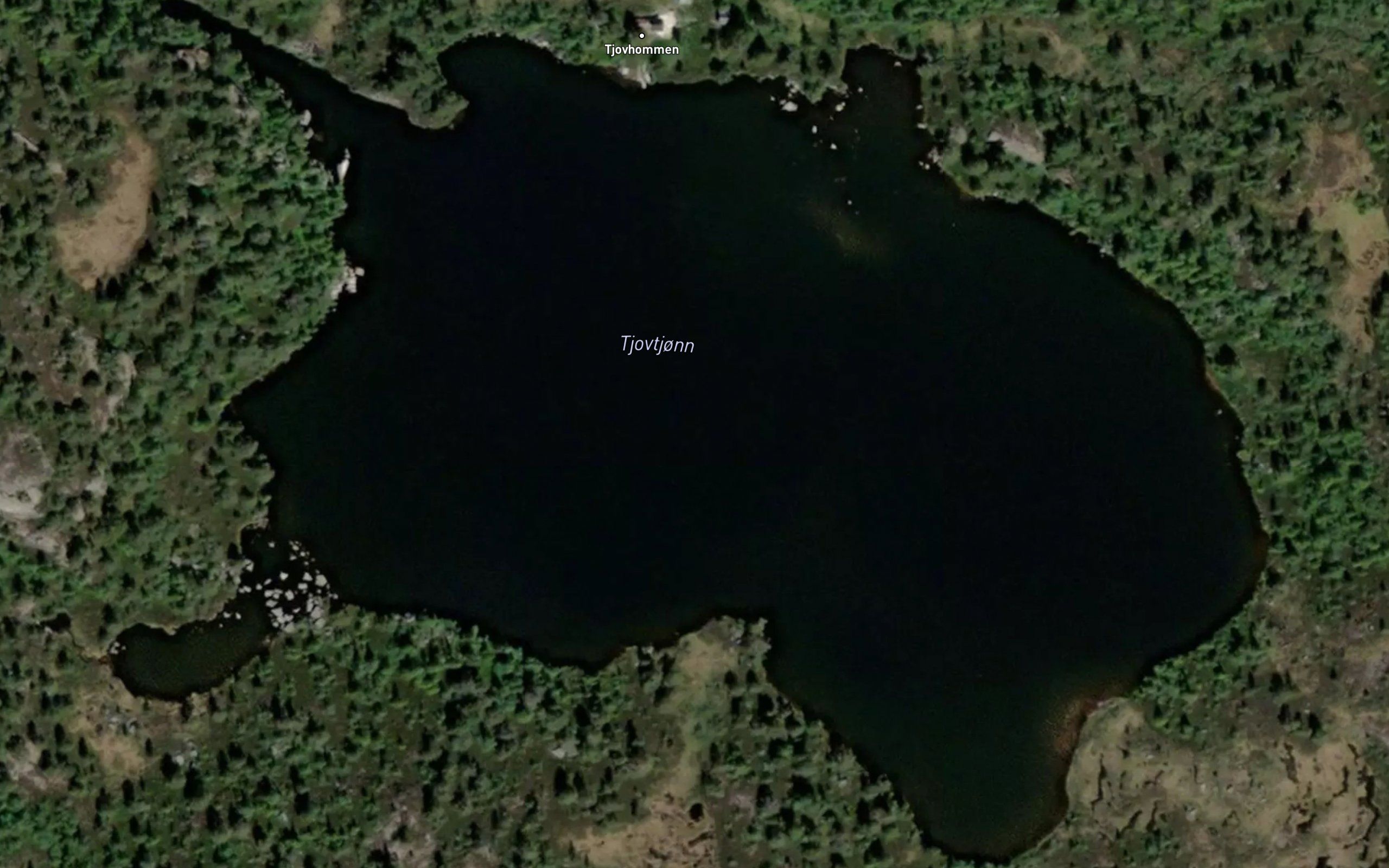 Tjovetjorn