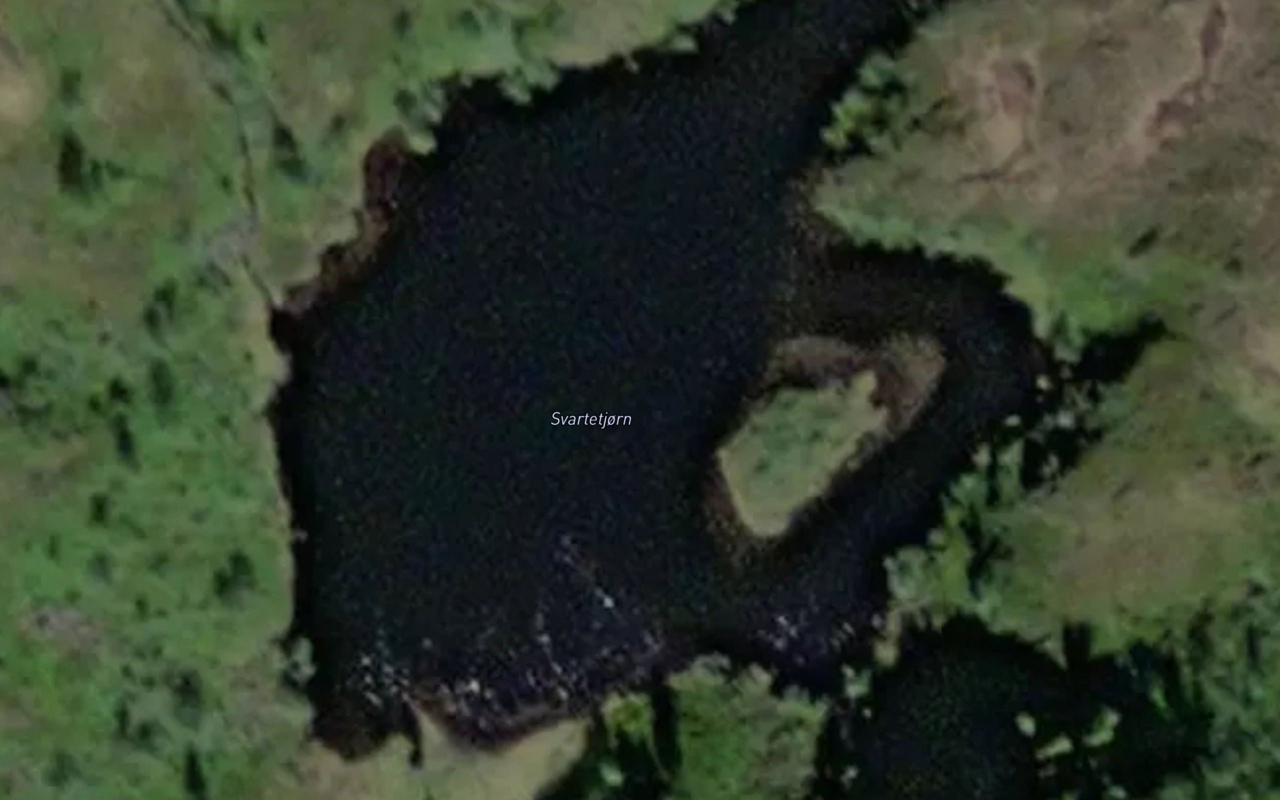 Svartetjorn