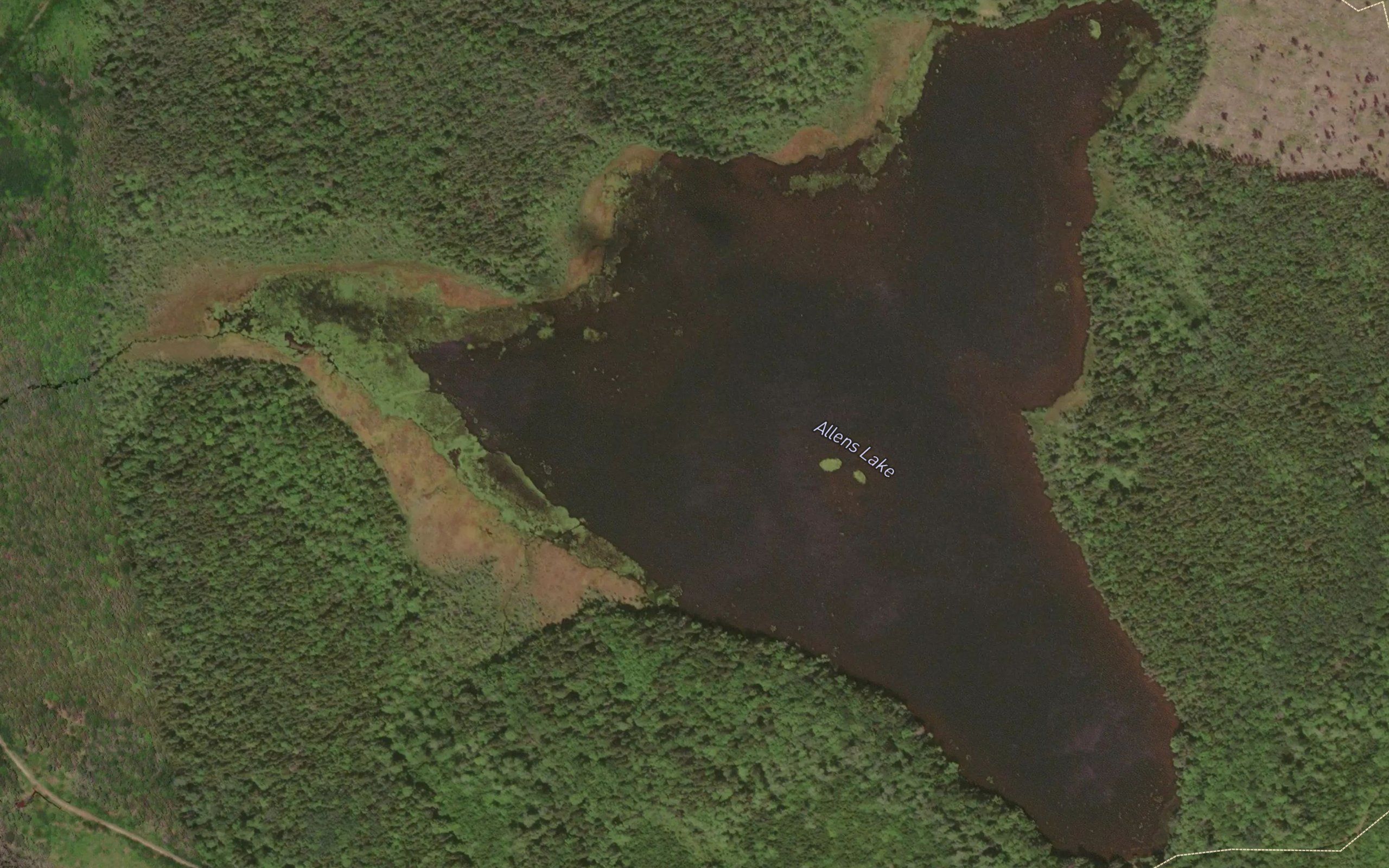 Allens Lake