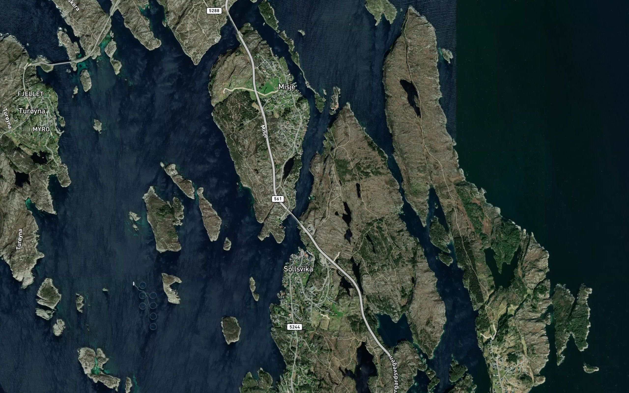 Skjerviki