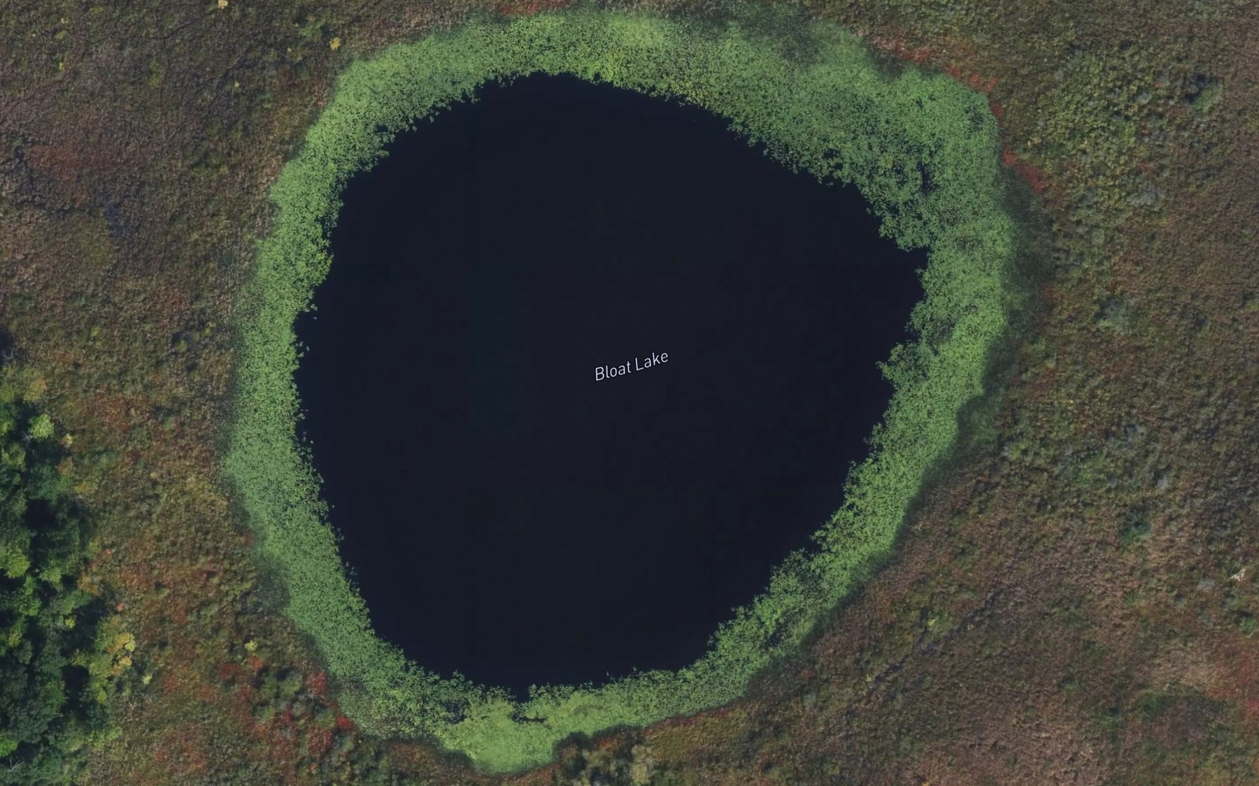 Satellite map of the Bloat Lake